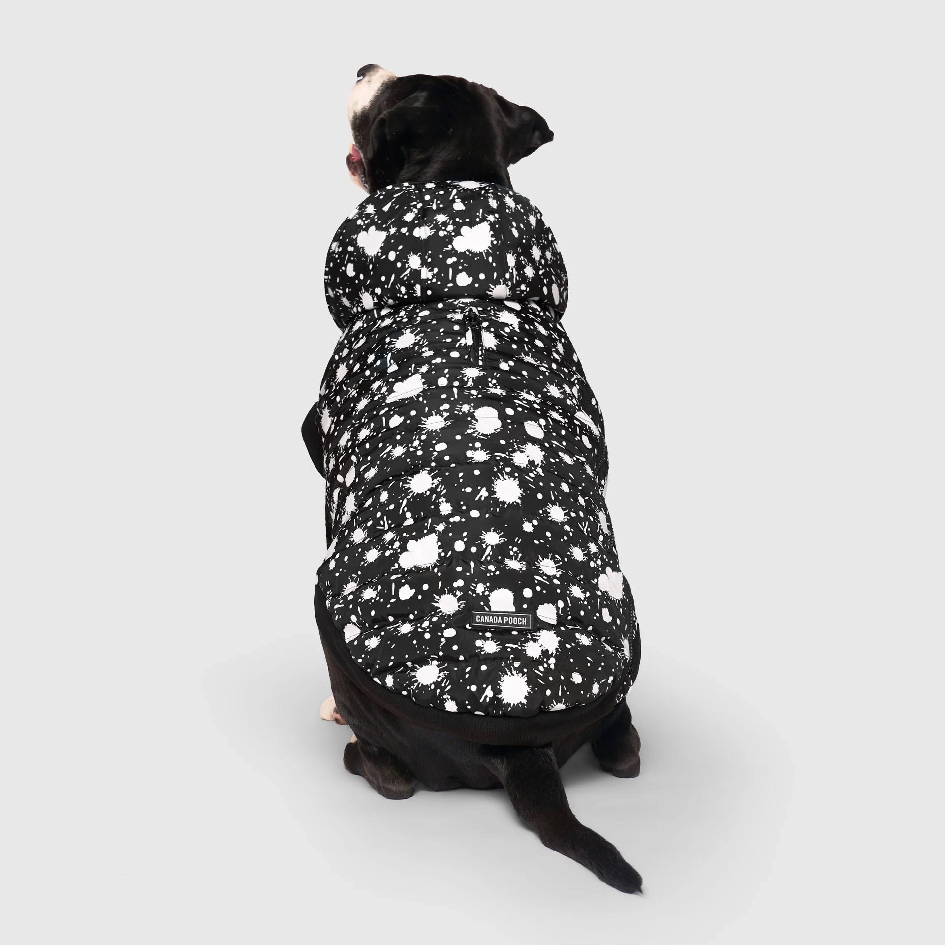 Prism Puffer - Image 8