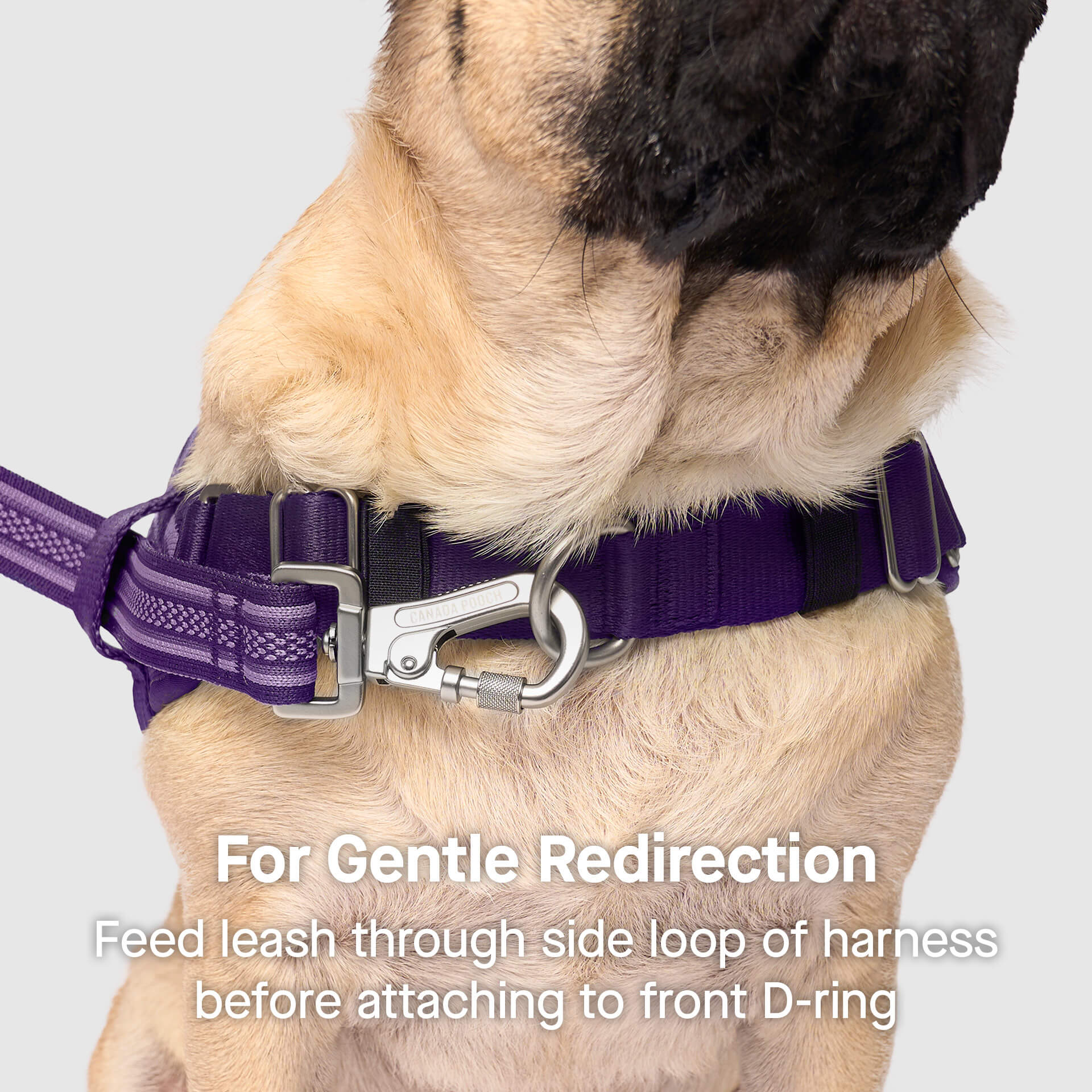 Re-Direct Harness - Image 10