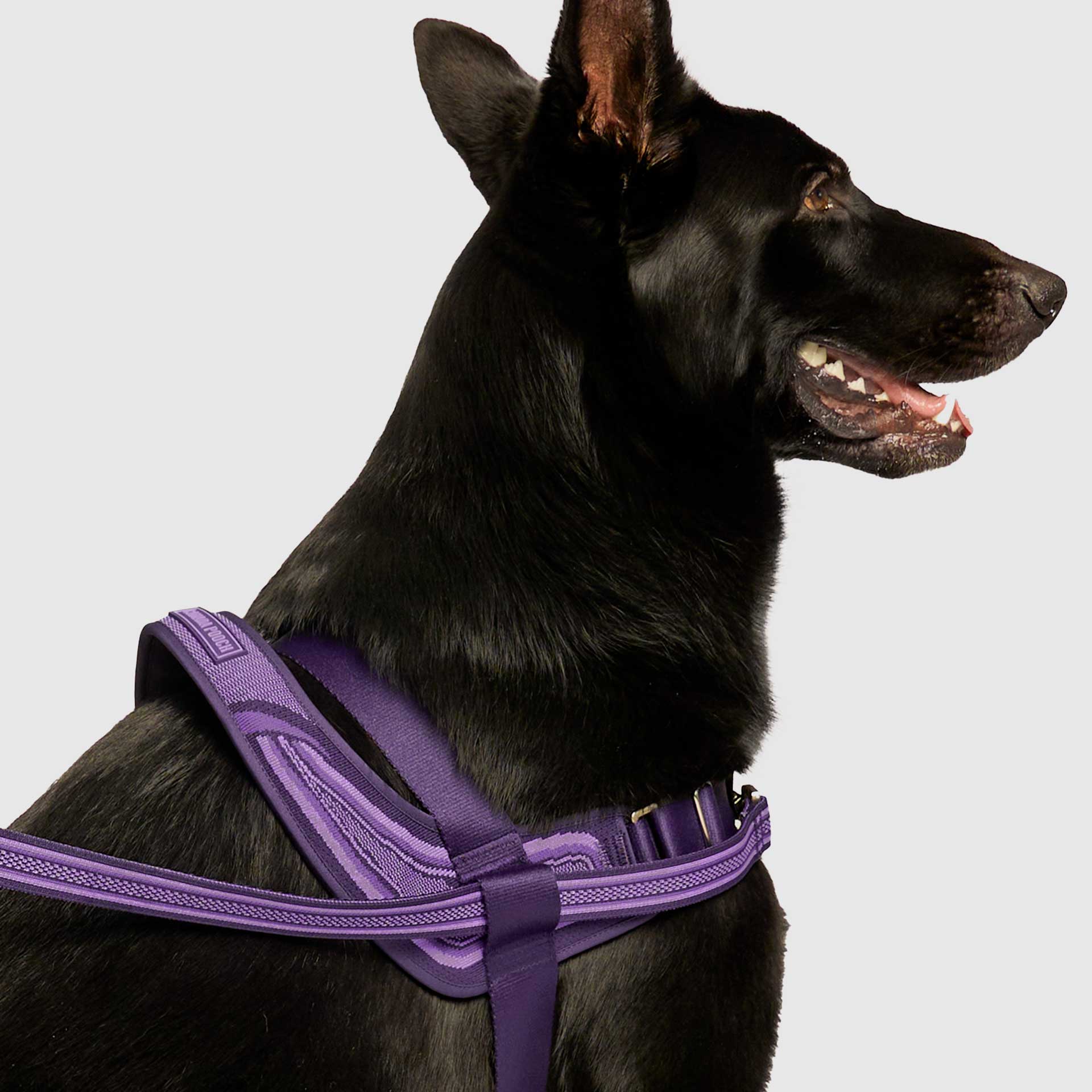 Re-Direct Harness - Image 11