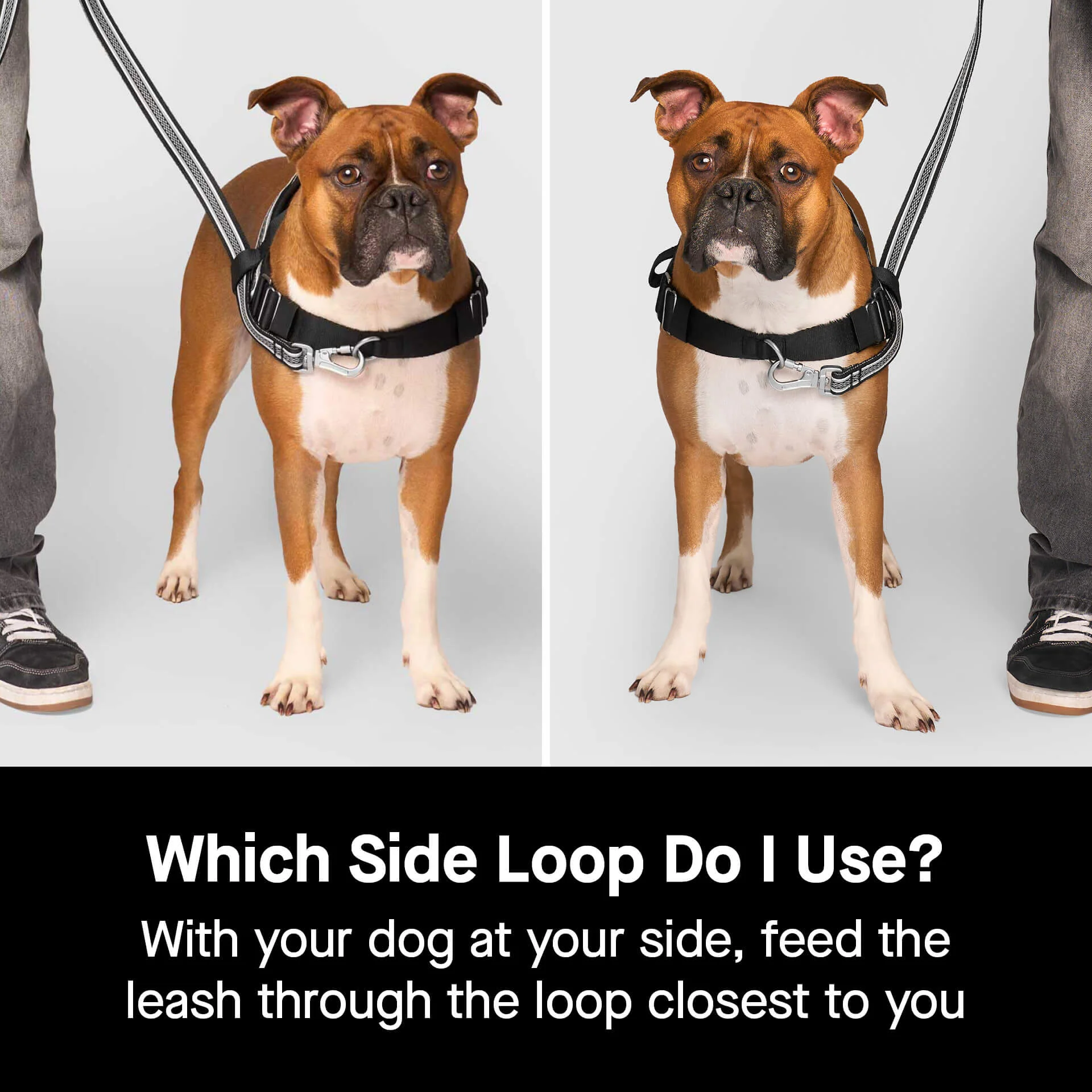 Re-Direct Harness - Image 13