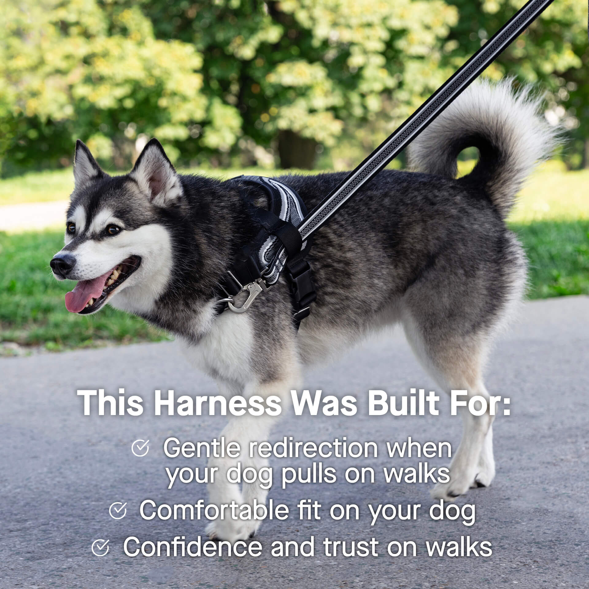 Re-Direct Harness - Image 14