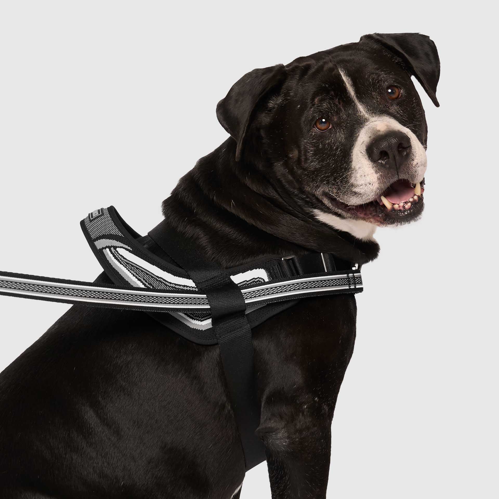 Re-Direct Harness - Image 3