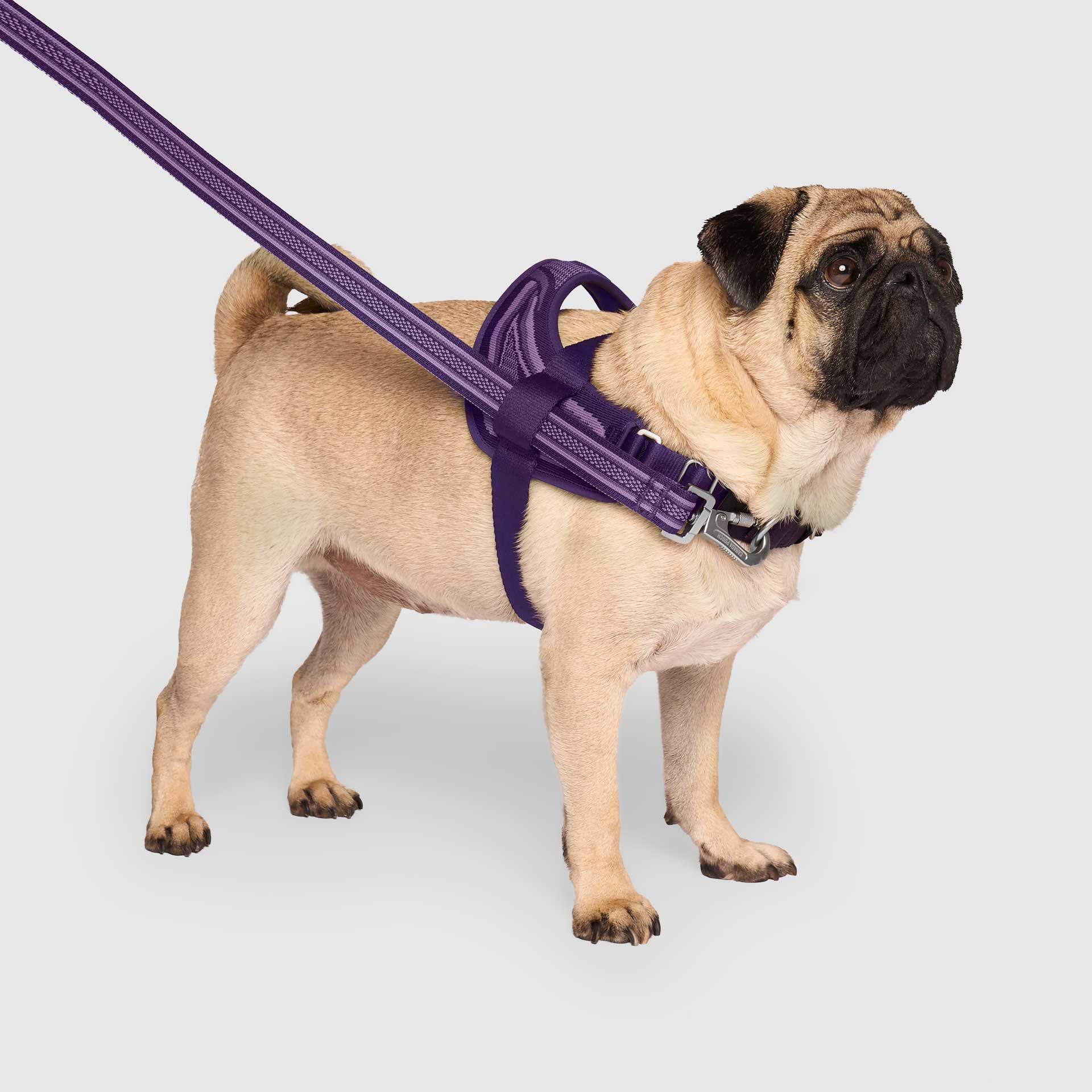 Re-Direct Harness - Image 9