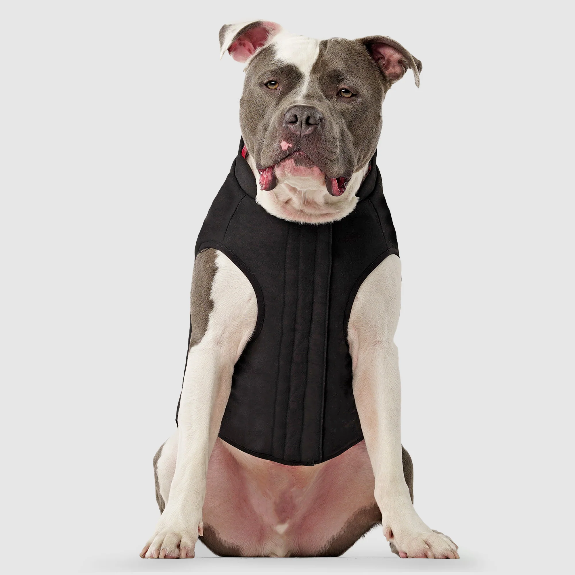 Reversible Vest - Image 3