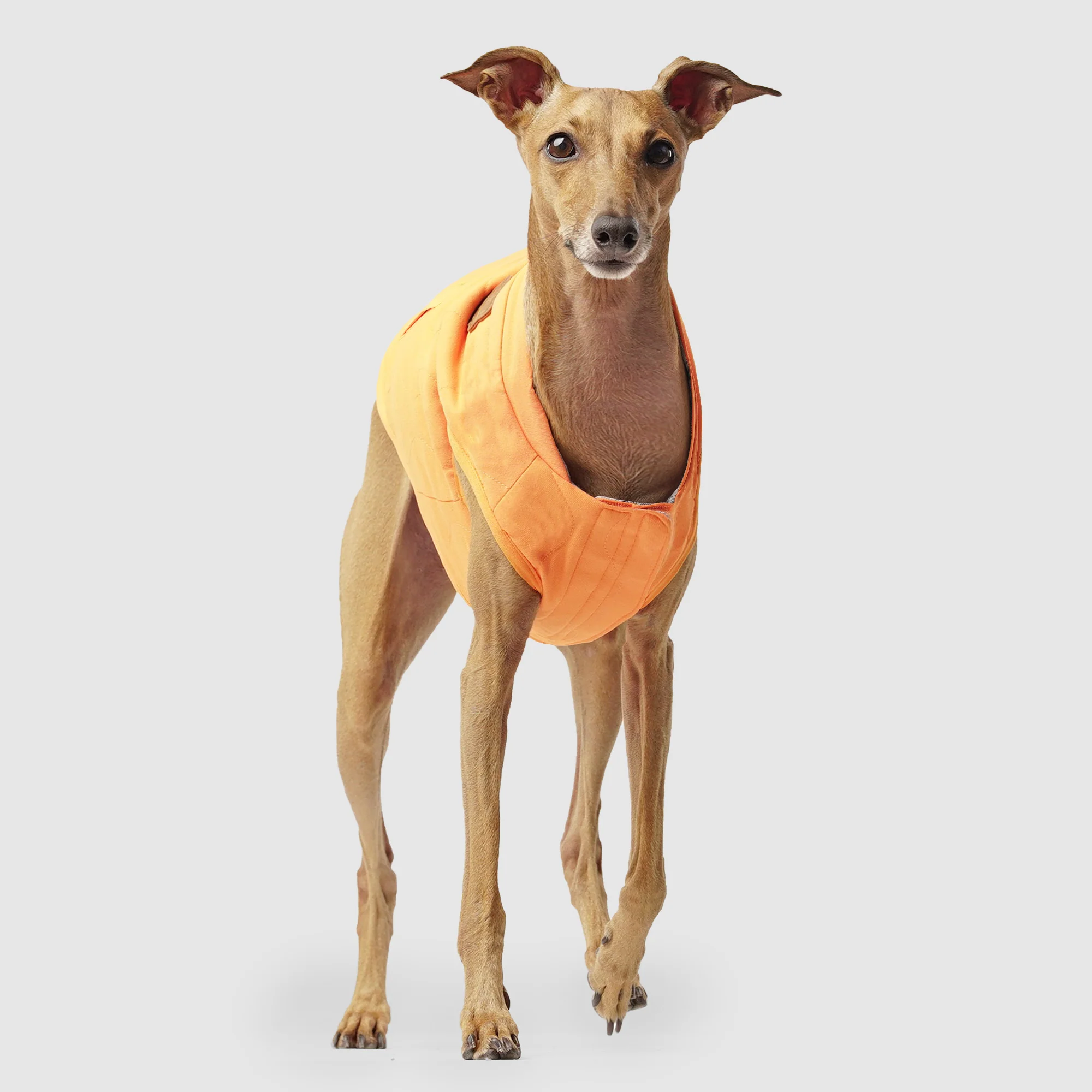 Reversible Vest - Image 6
