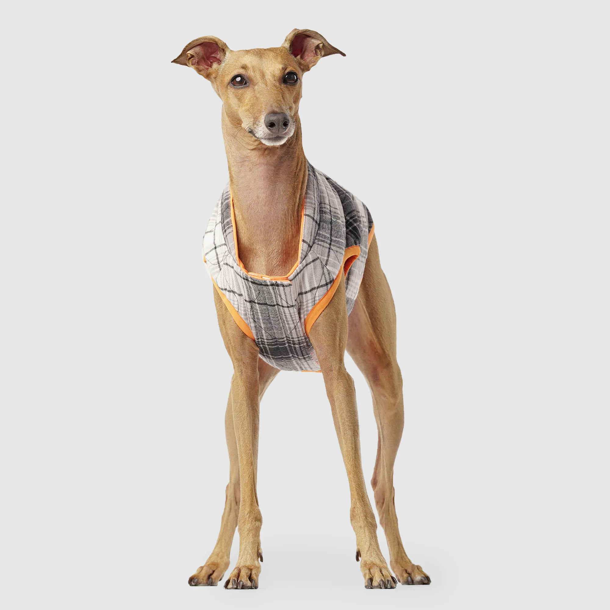 Reversible Vest - Image 7