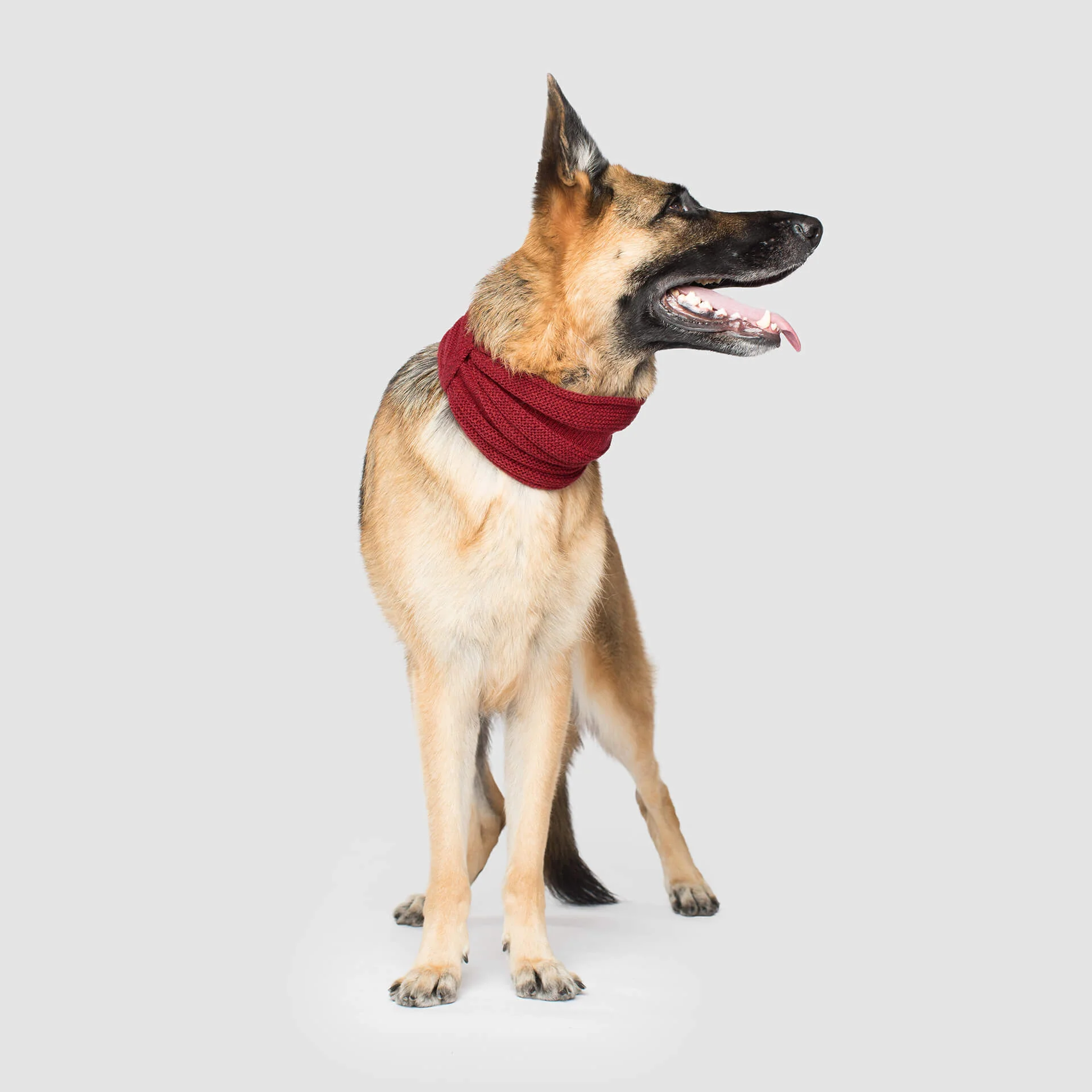 Sierra Scarf - Image 3