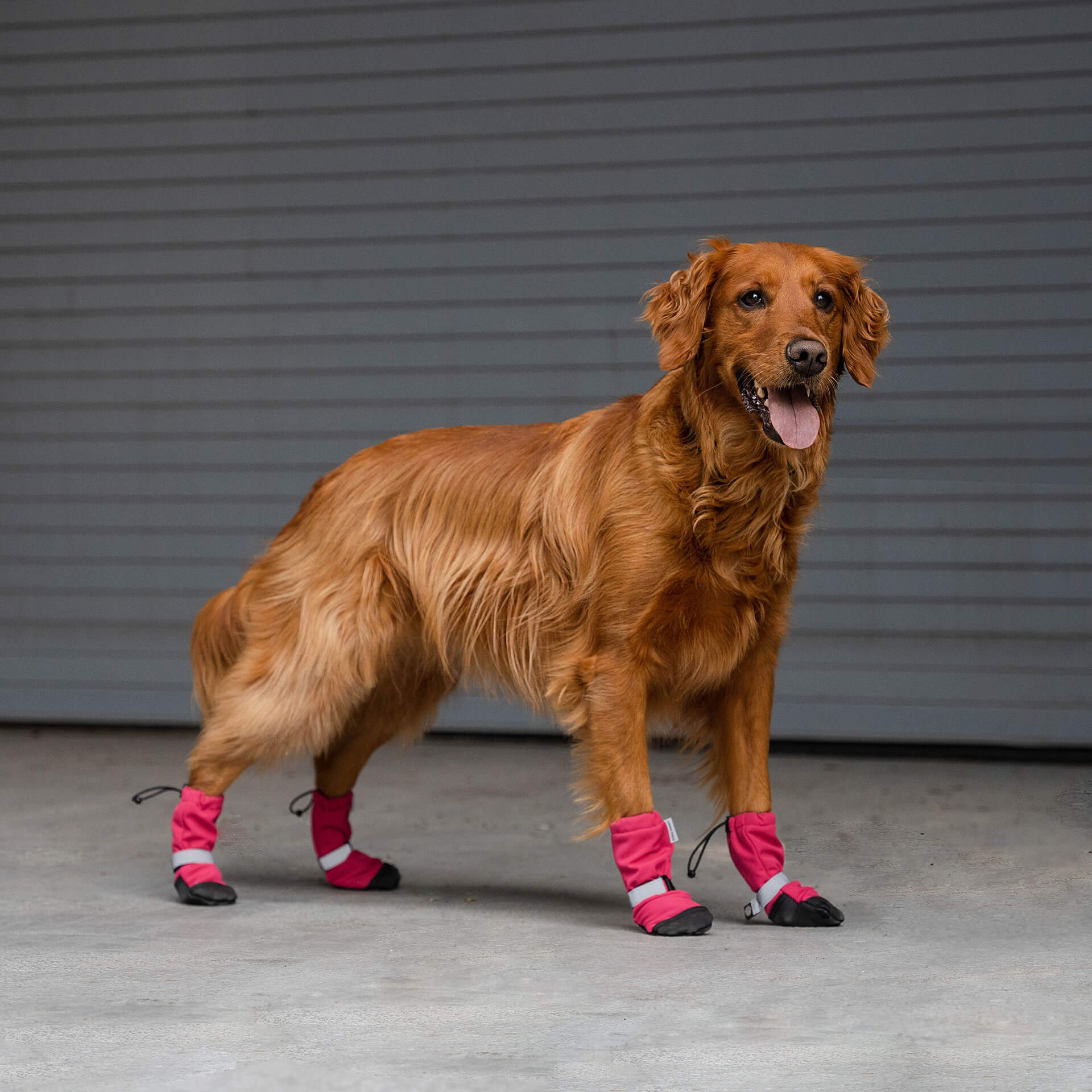 Soft Shield Boots - Image 22