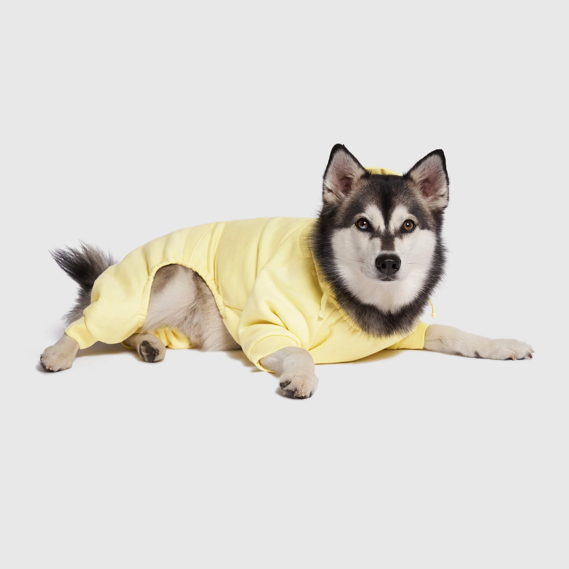 Soft Side Sweatsuit - Image 6