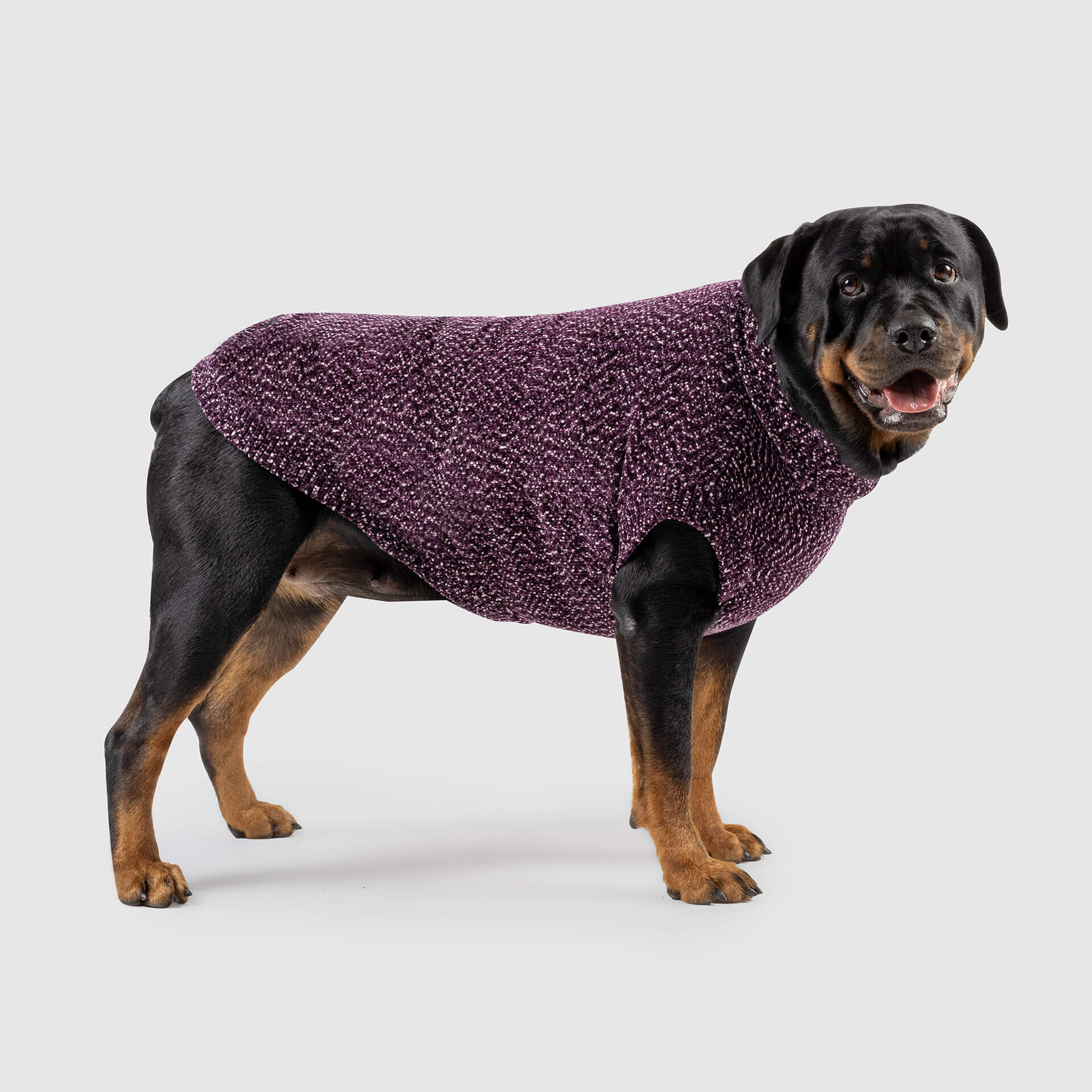 Soho Sweater - Image 5