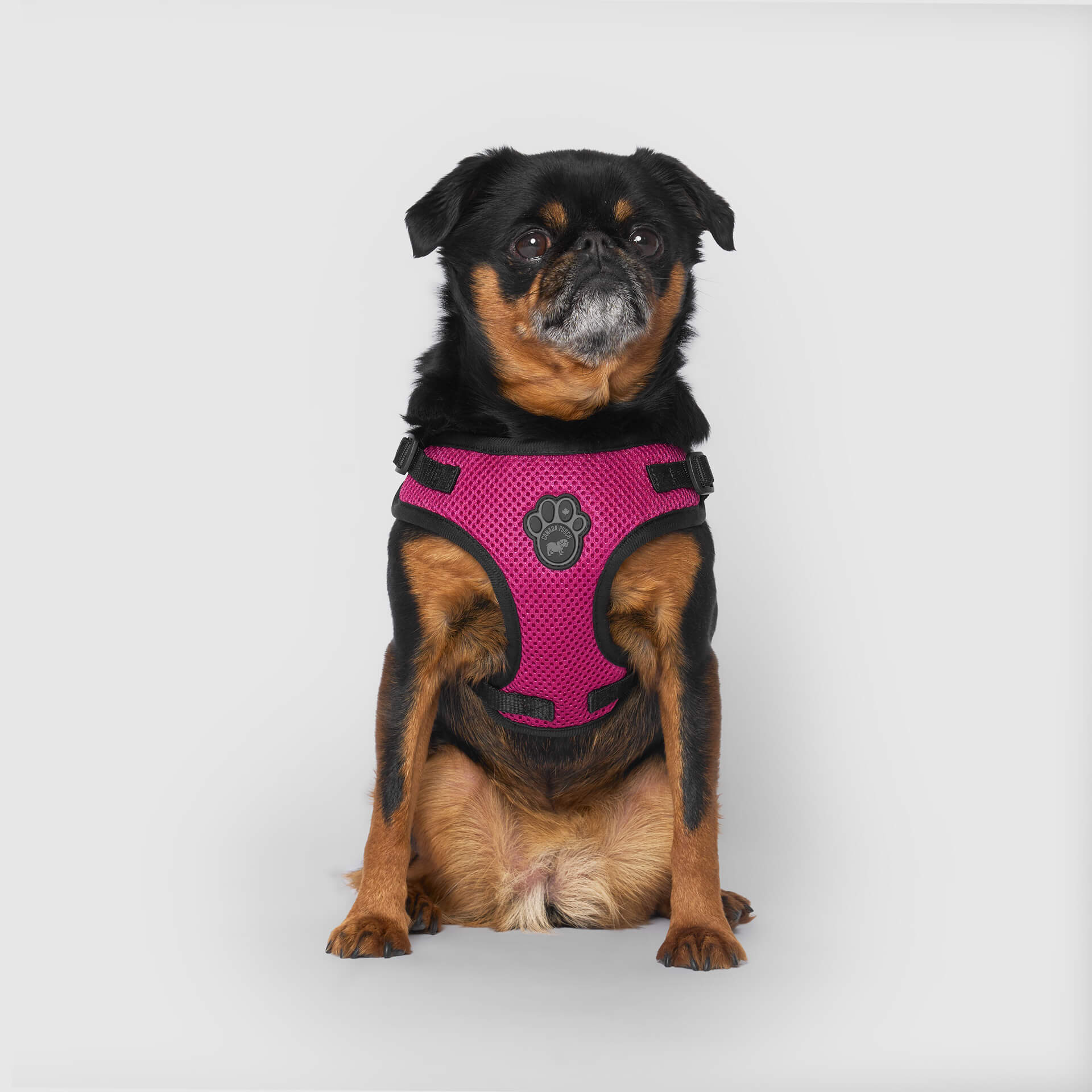 Easy-On Step-In Harness - Image 10