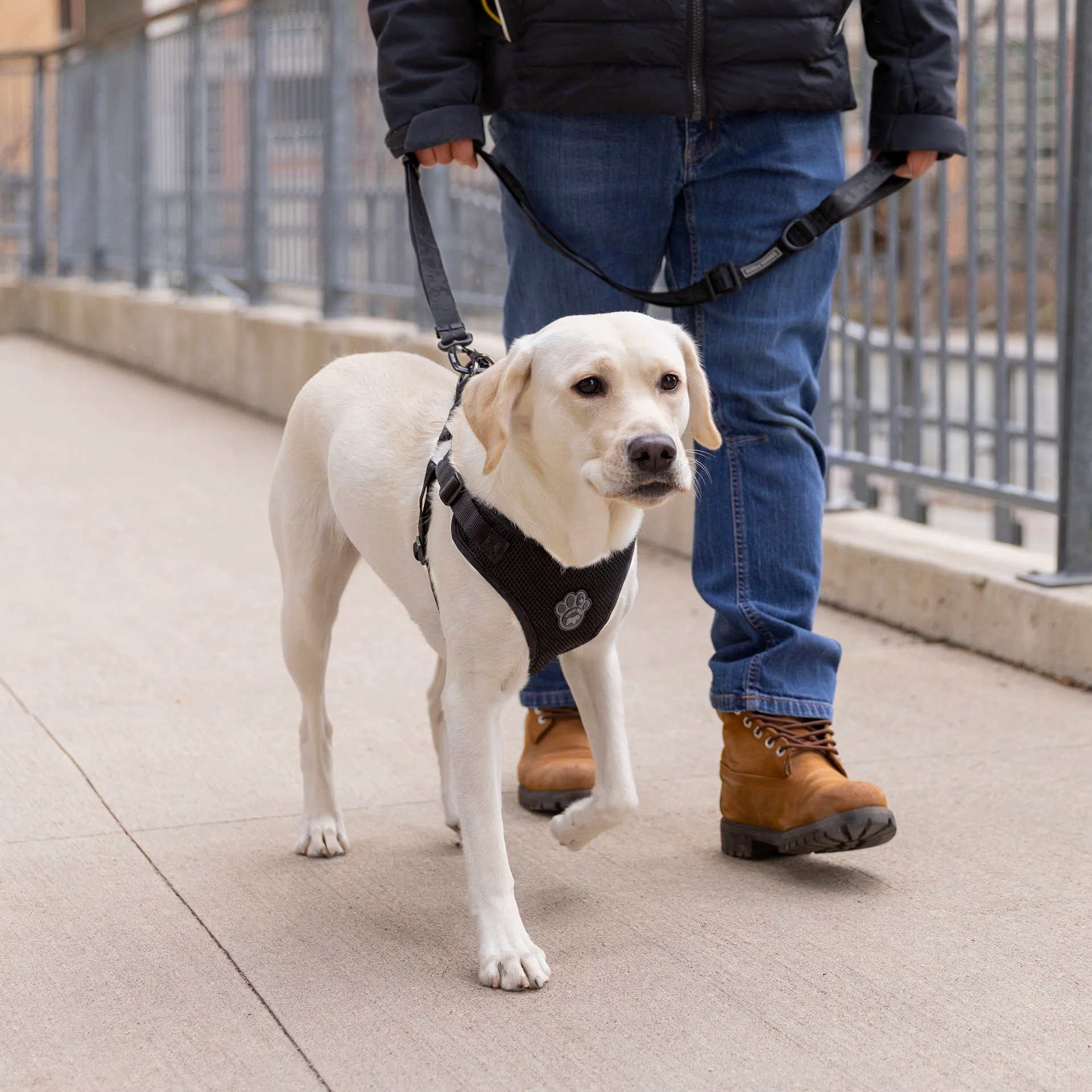 Easy-On Step-In Harness - Image 3