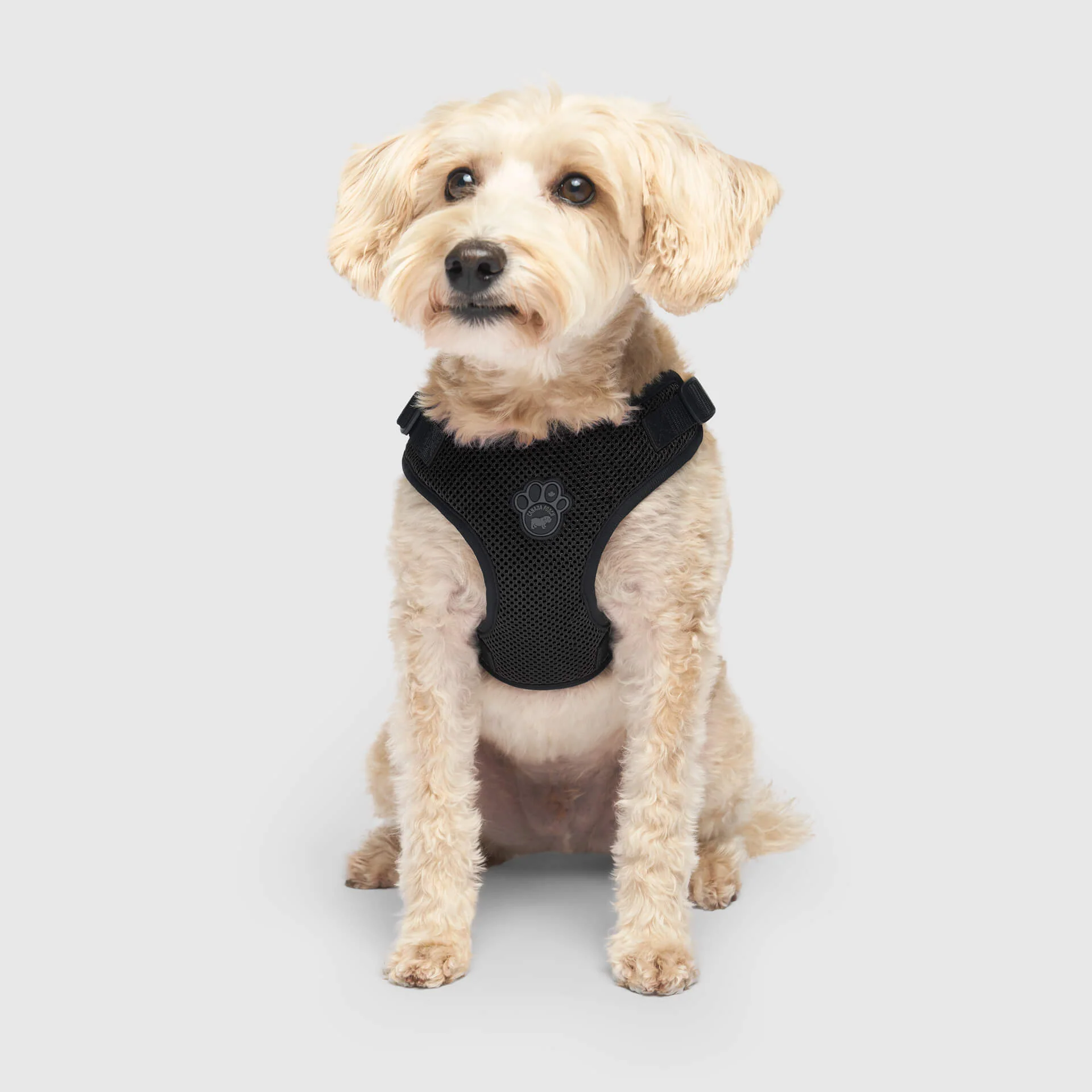Easy-On Step-In Harness - Image 4