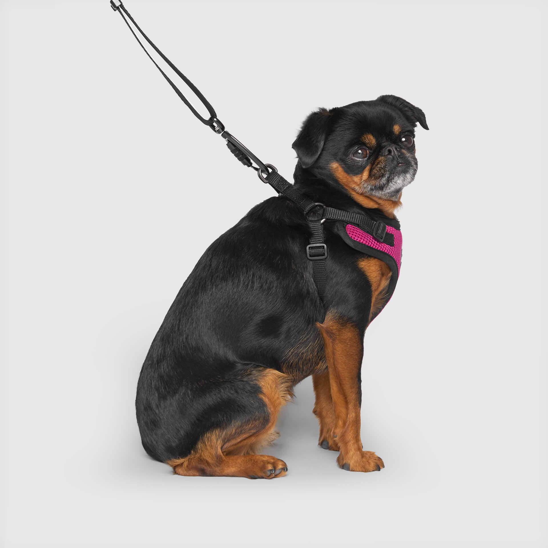 Easy-On Step-In Harness - Image 7