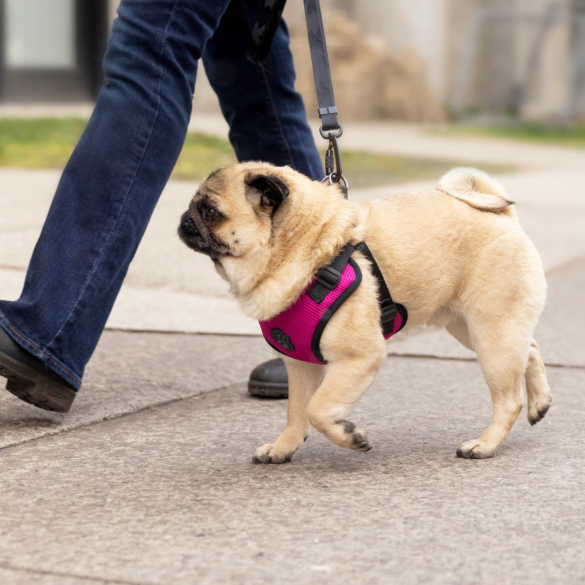 Easy-On Step-In Harness - Image 9