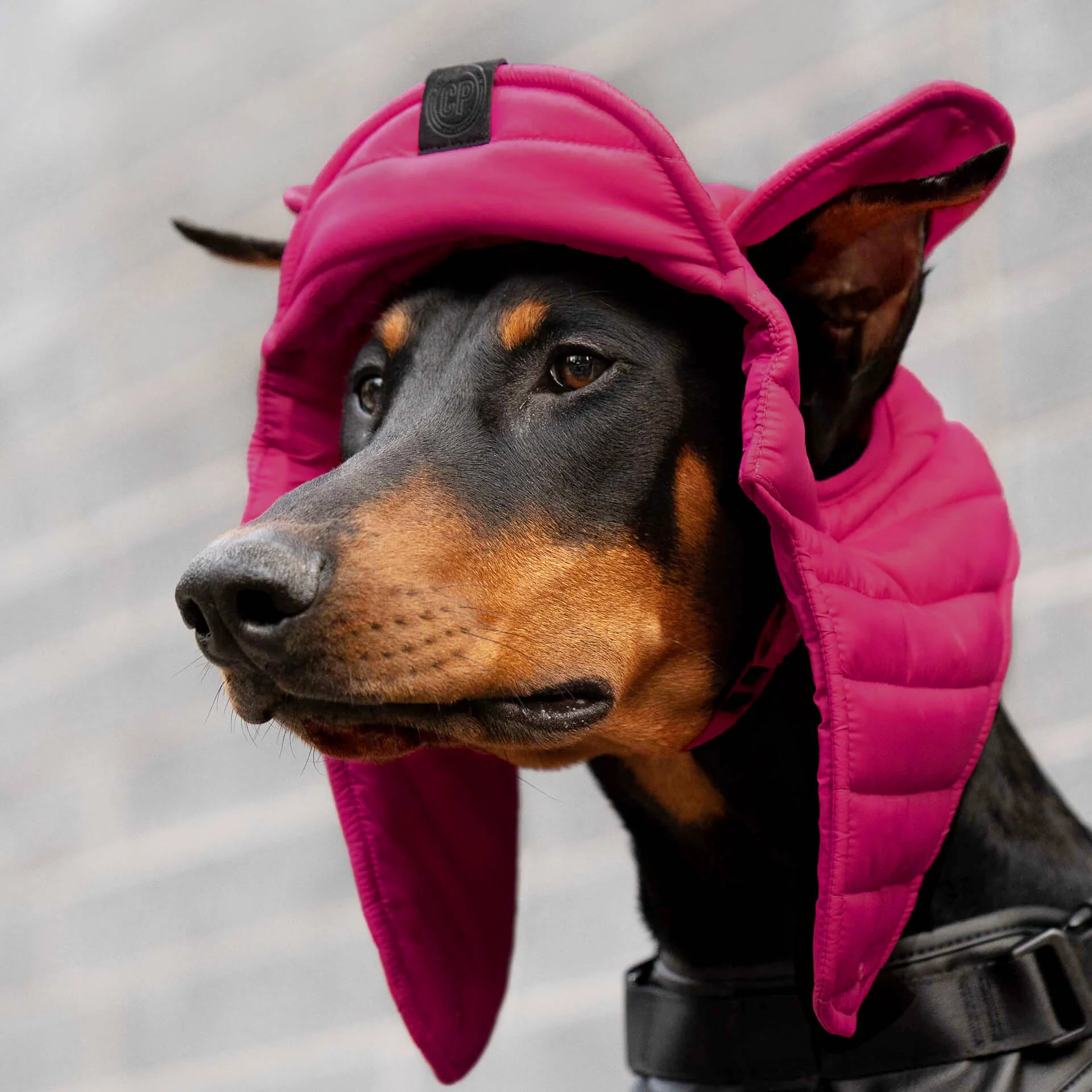 Puffer Hat - Image 10