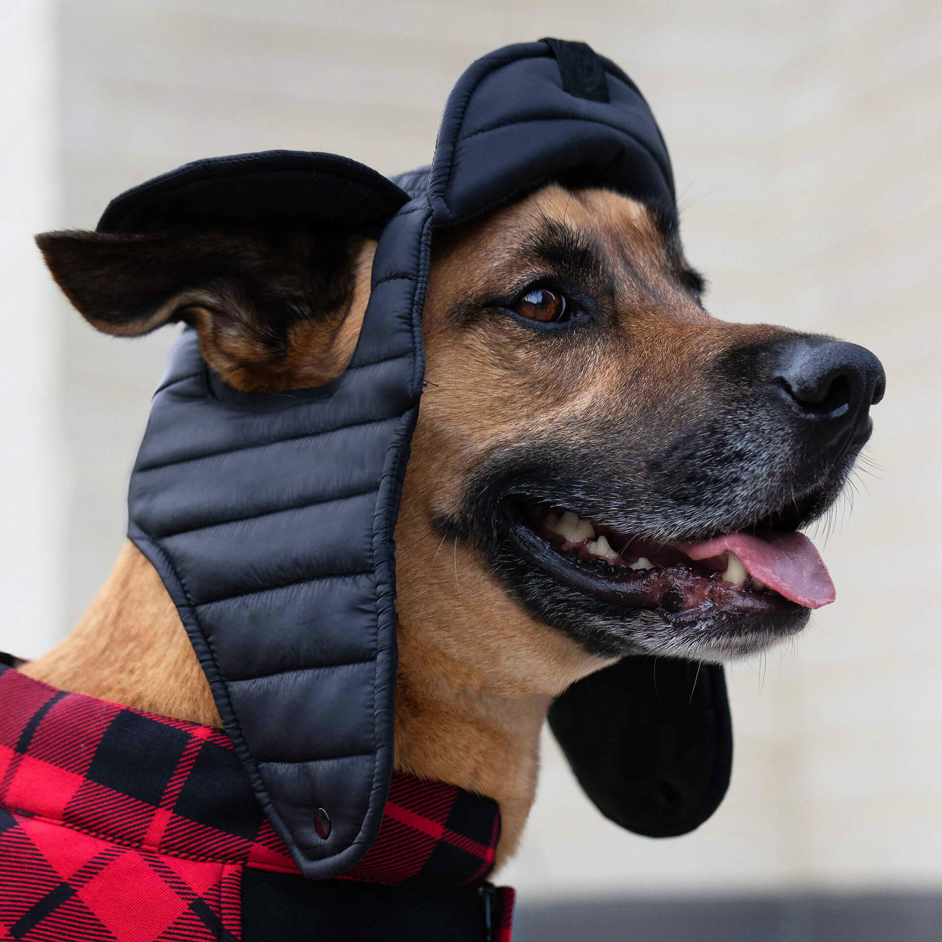 Puffer Hat - Image 6
