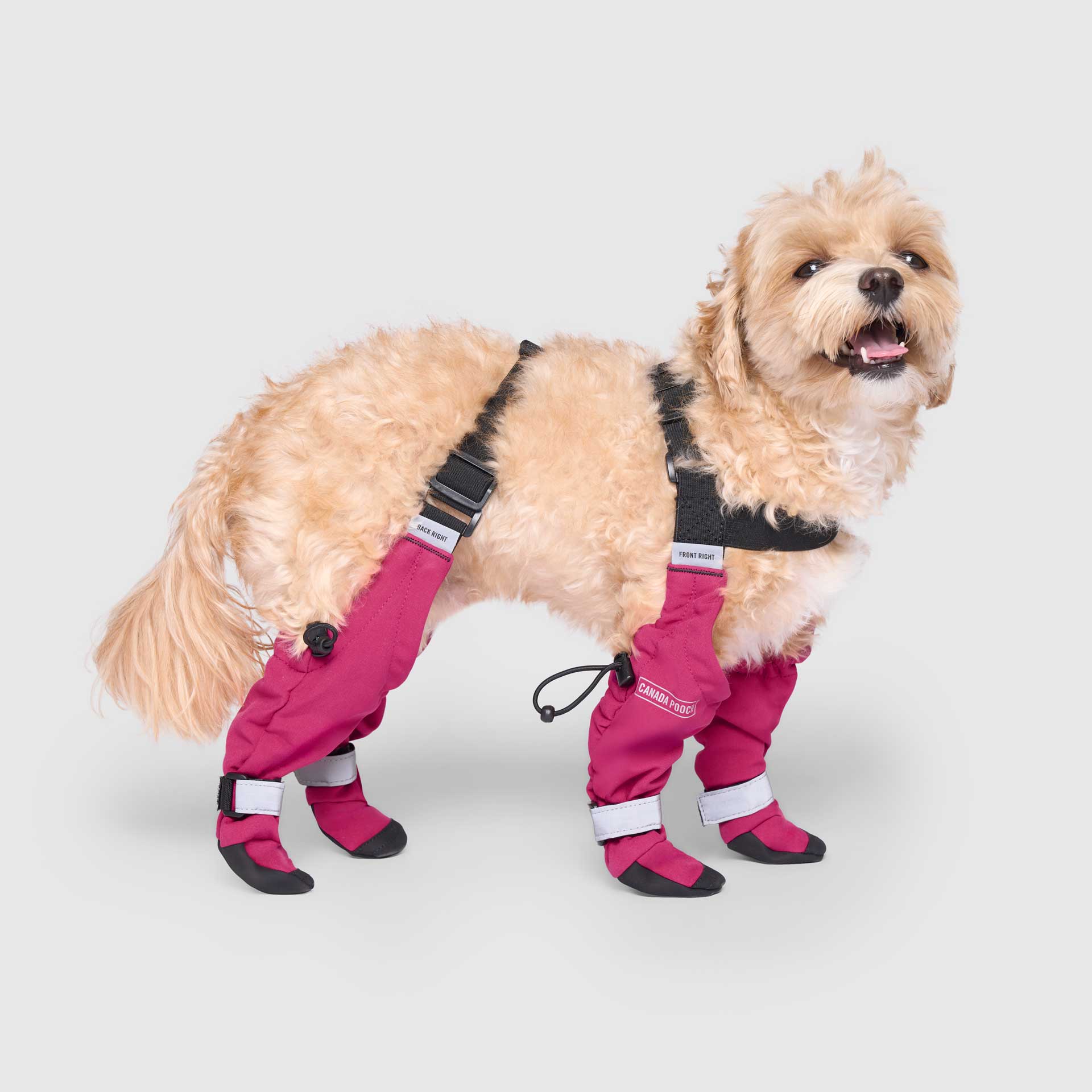 Suspender Boots - Image 10