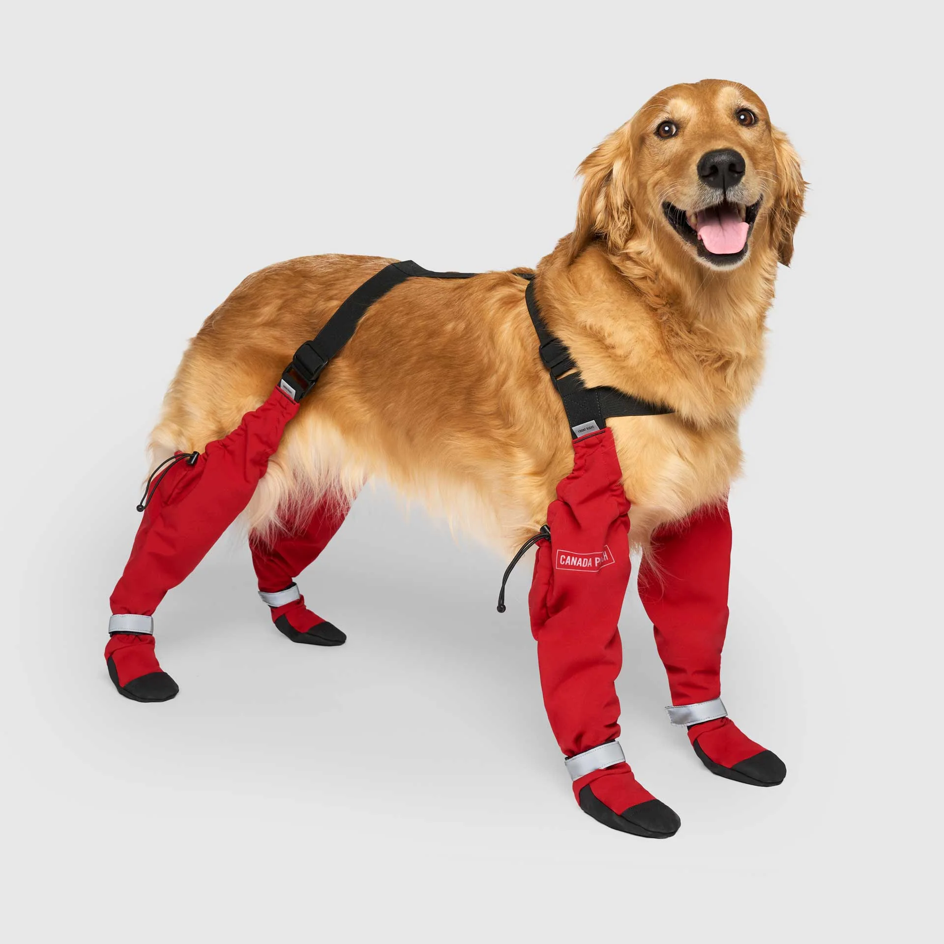 Suspender Boots - Image 7