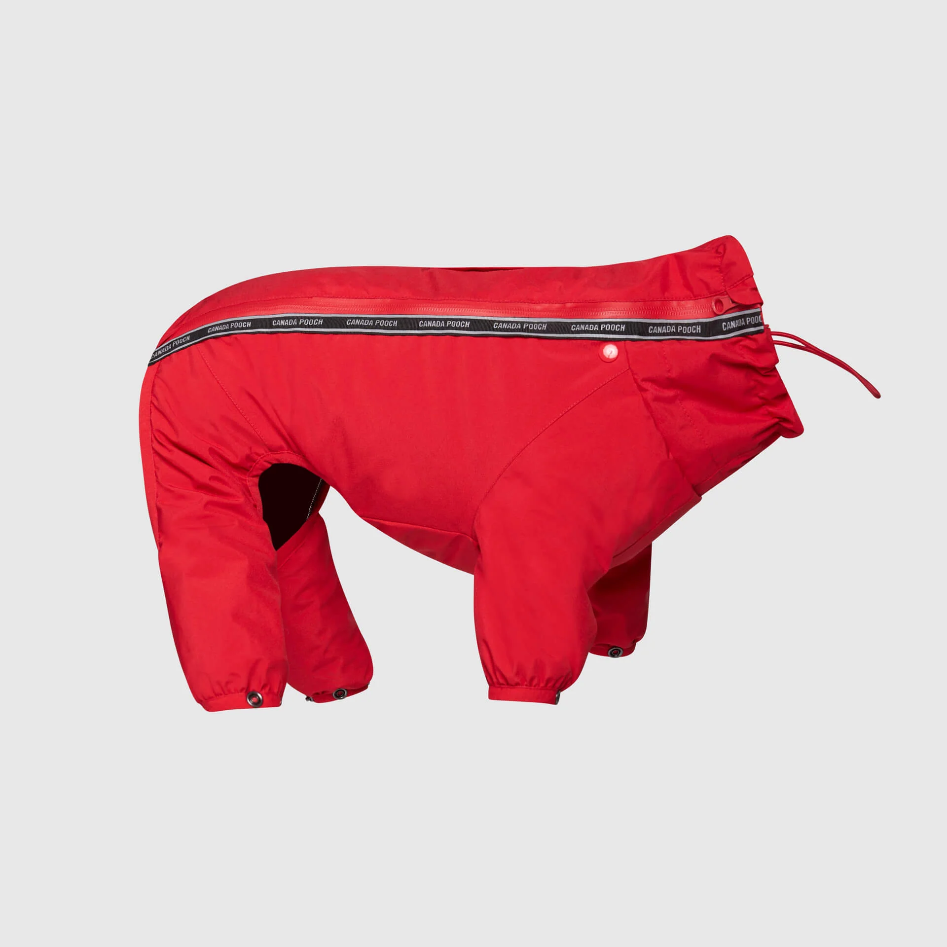 The Snow Suit - Image 12