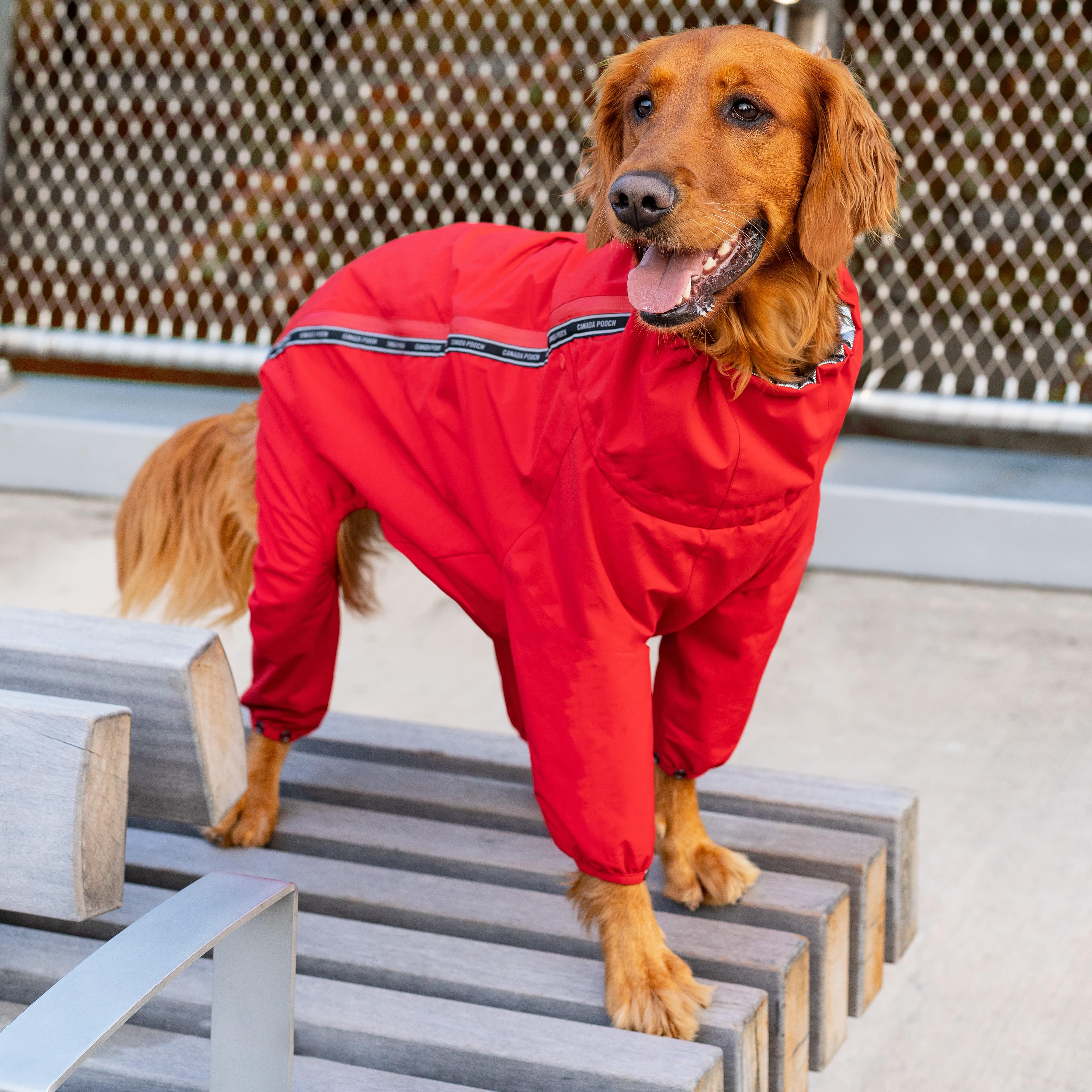 The Snow Suit - Image 13