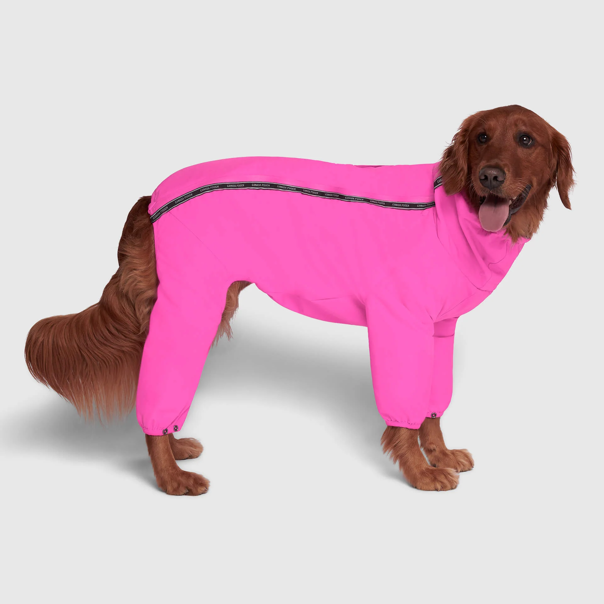 The Snow Suit - Image 14