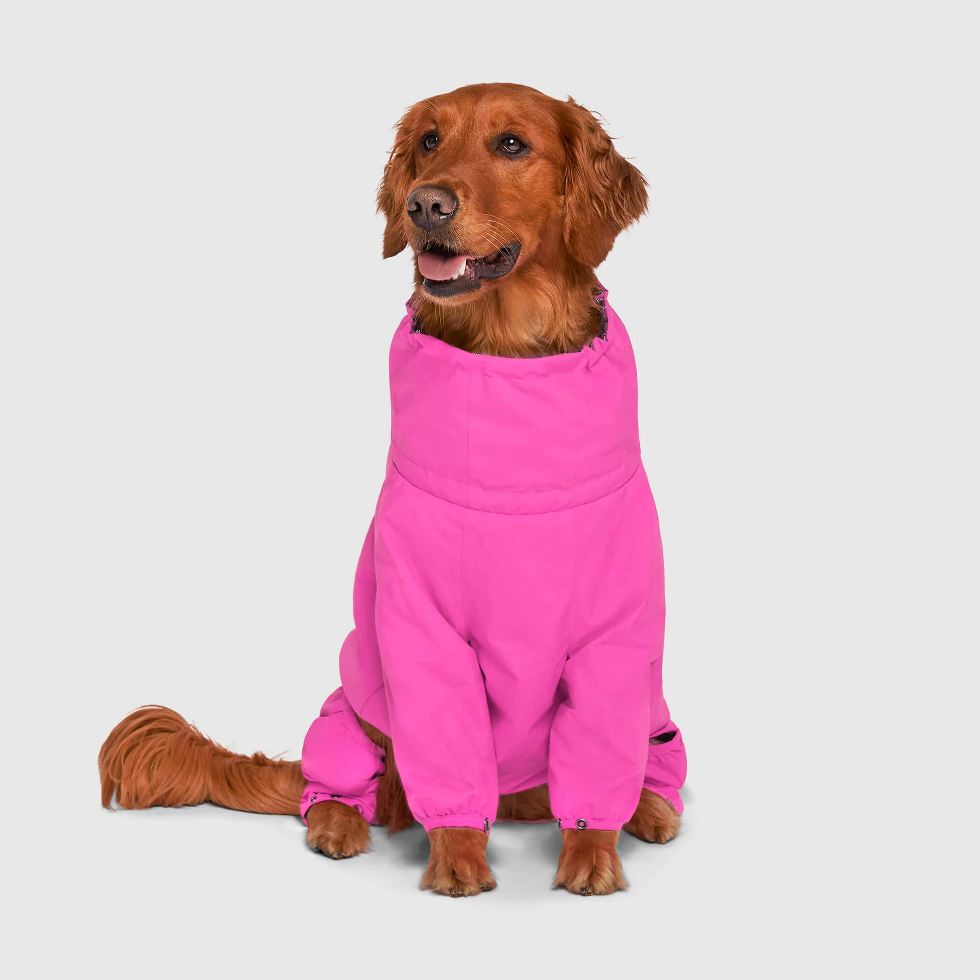 The Snow Suit - Image 17