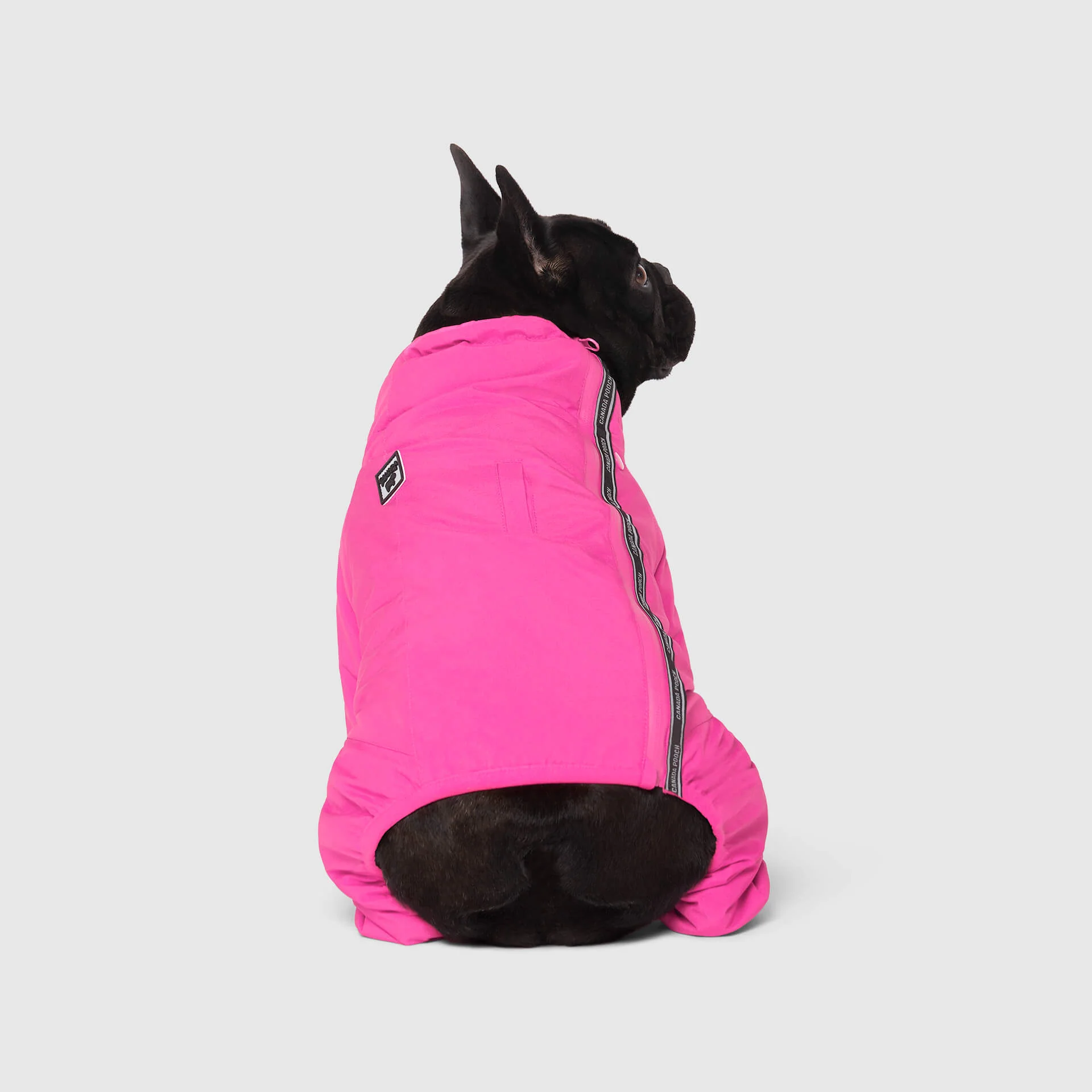 The Snow Suit - Image 18