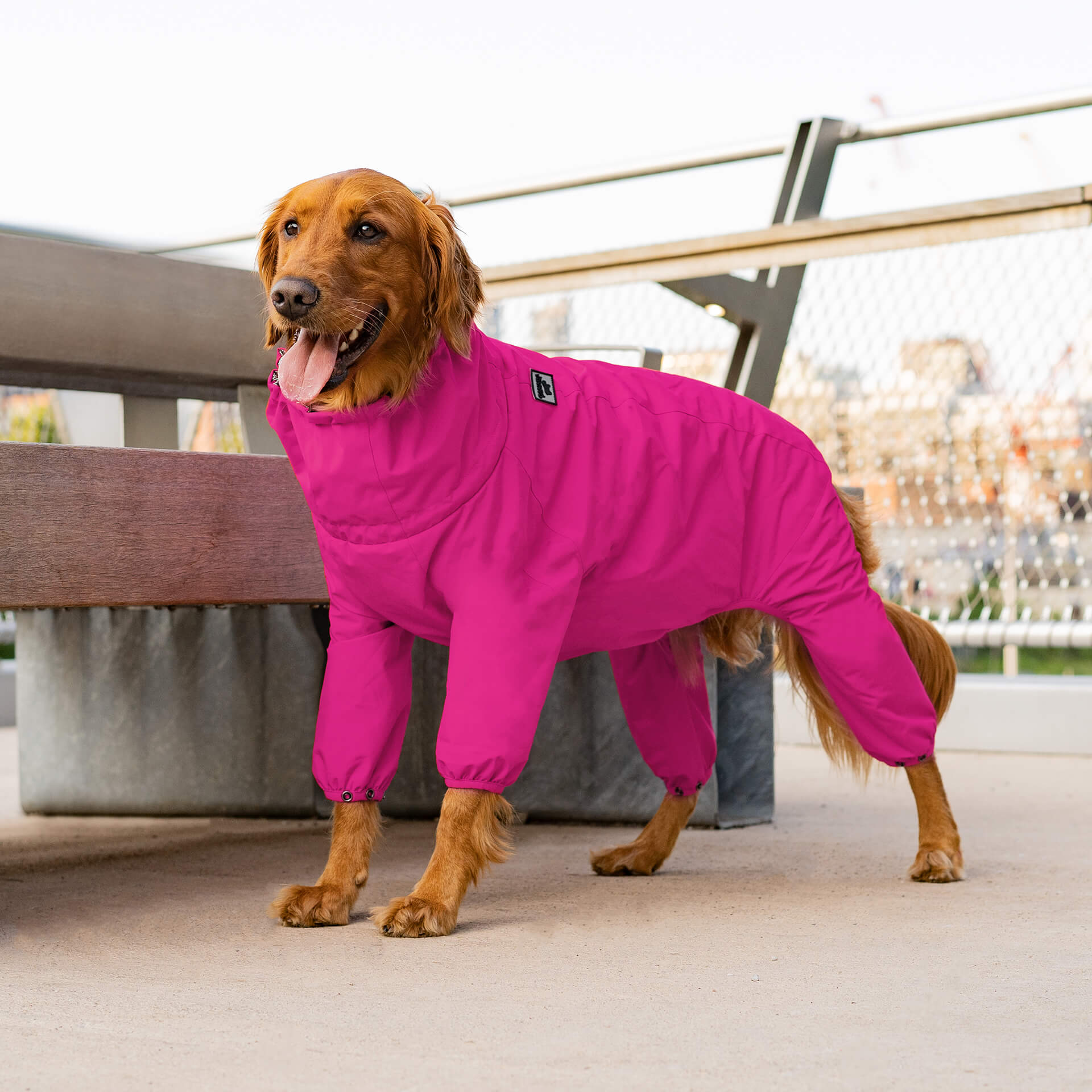 The Snow Suit - Image 20