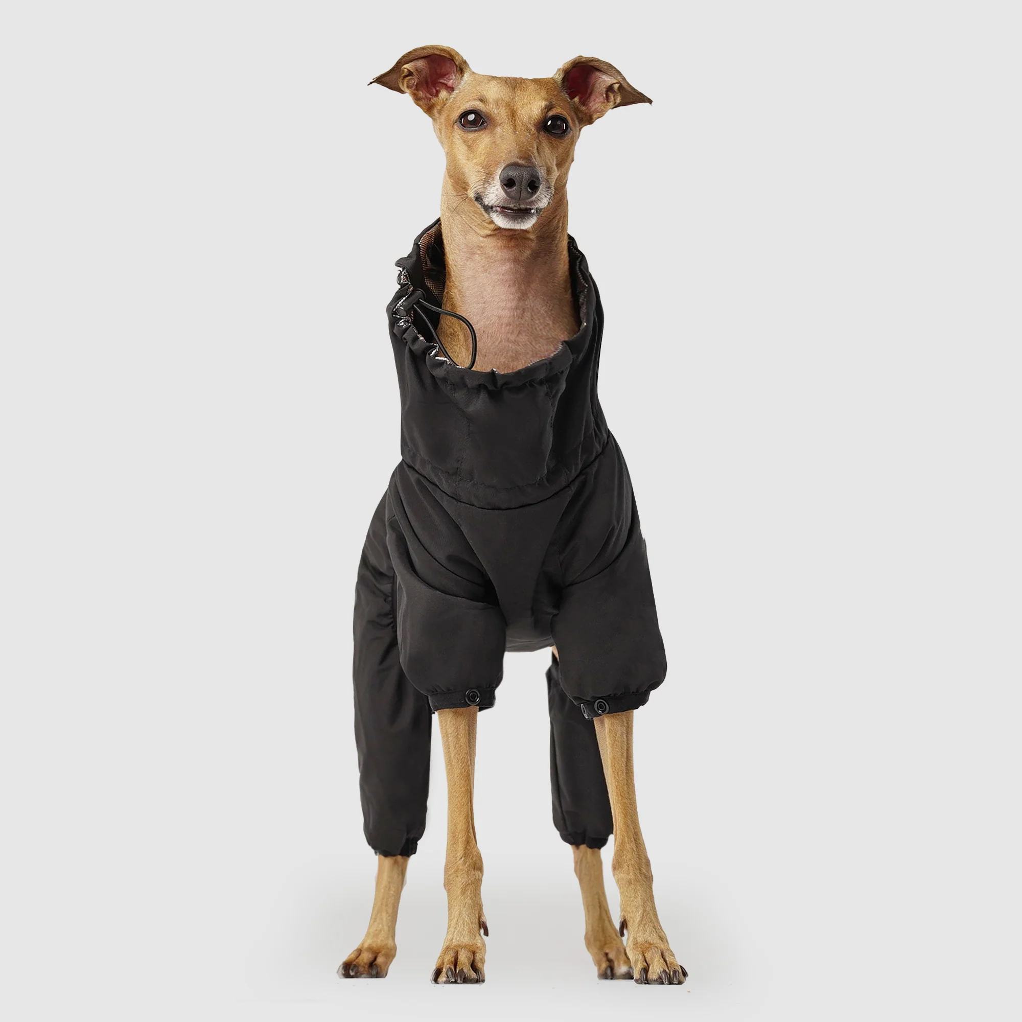 The Snow Suit - Image 3