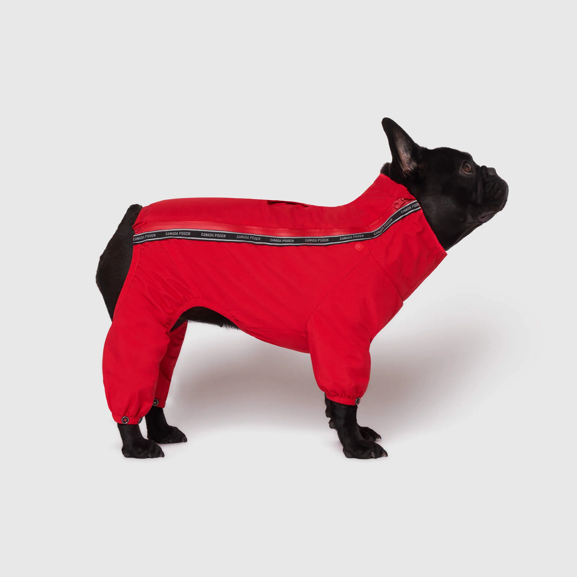 The Snow Suit - Image 7