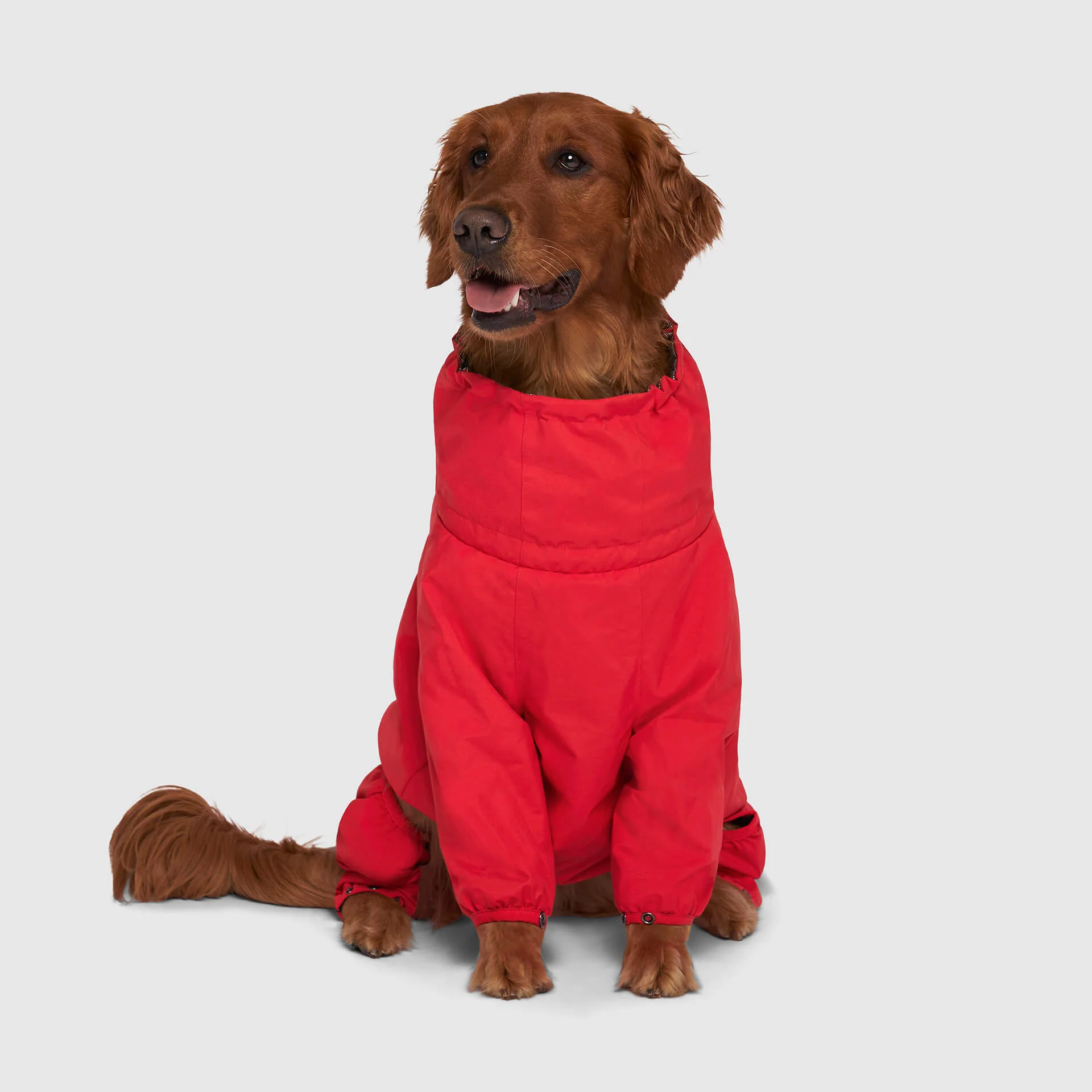 The Snow Suit - Image 9