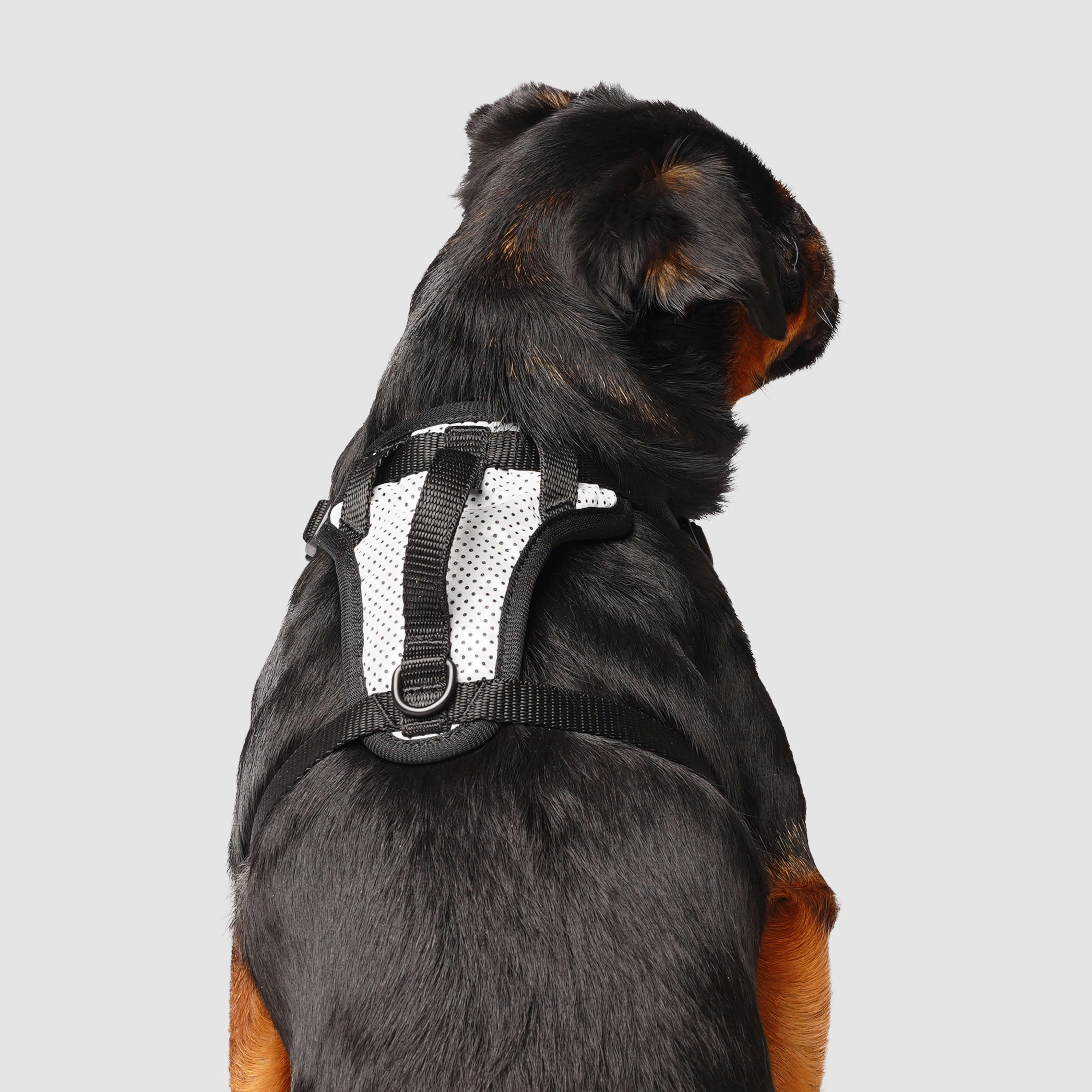 The Everything Harness Mesh Series - Image 3