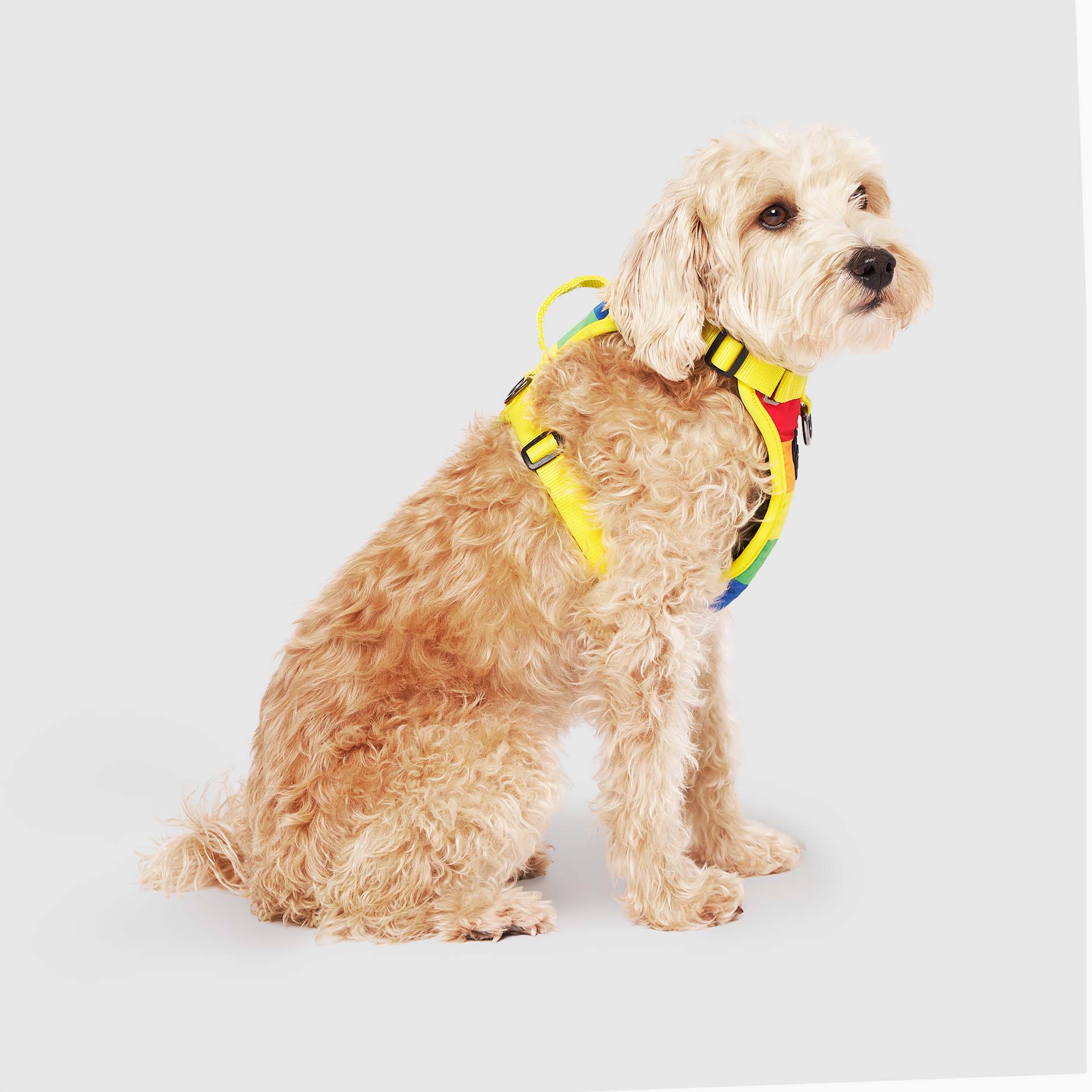 The Everything Harness Water-Resistant Series - Image 11
