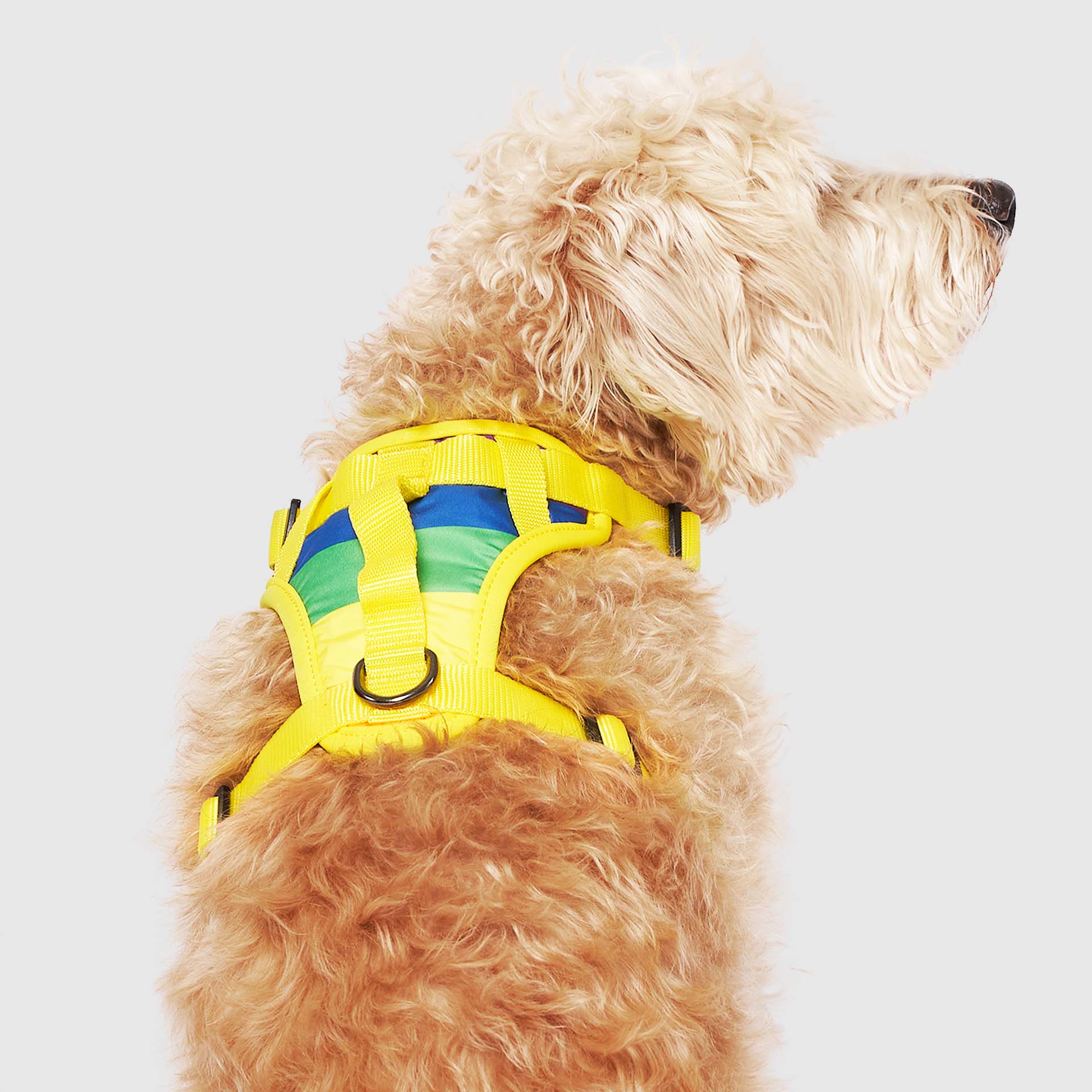 The Everything Harness Water-Resistant Series - Image 12