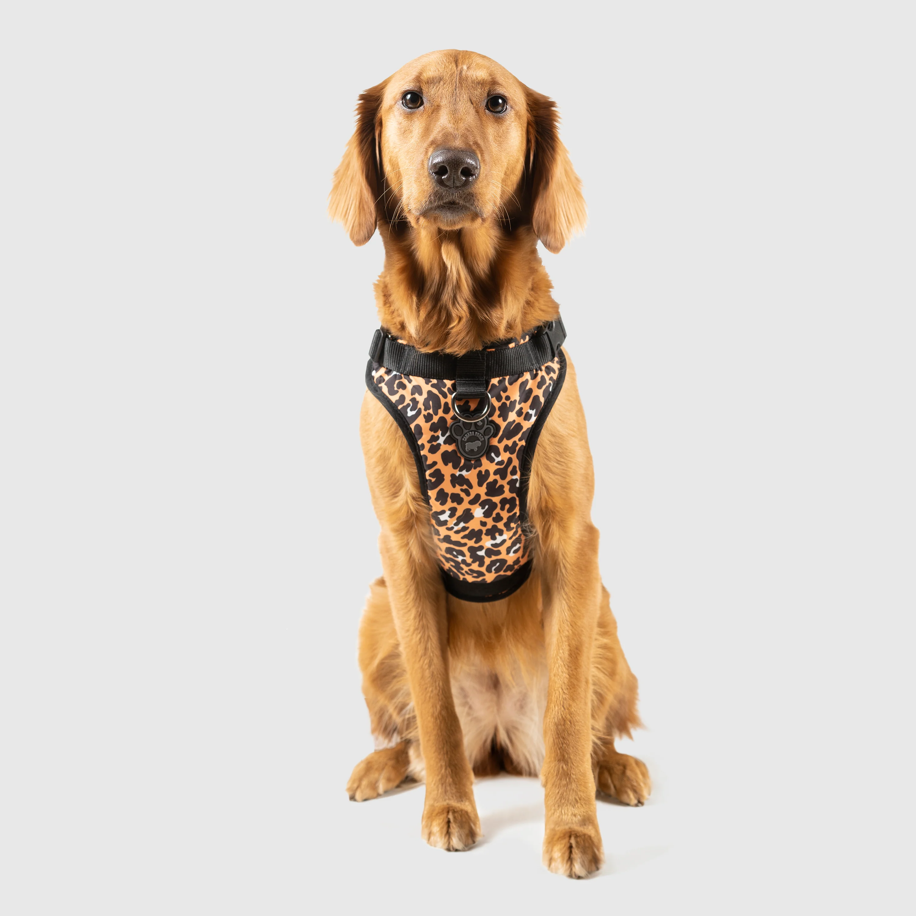 The Everything Harness Water-Resistant Series - Image 14