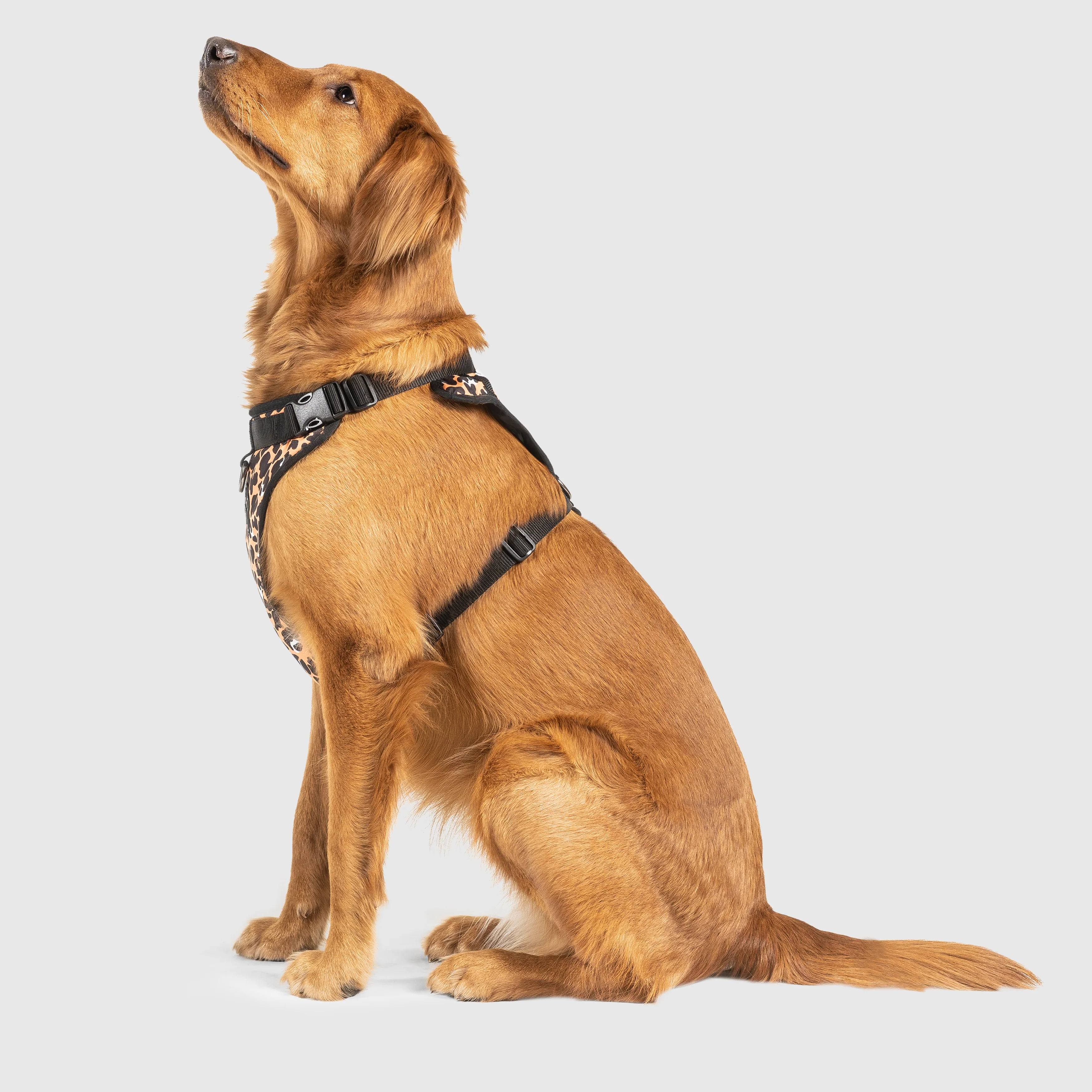 The Everything Harness Water-Resistant Series - Image 15
