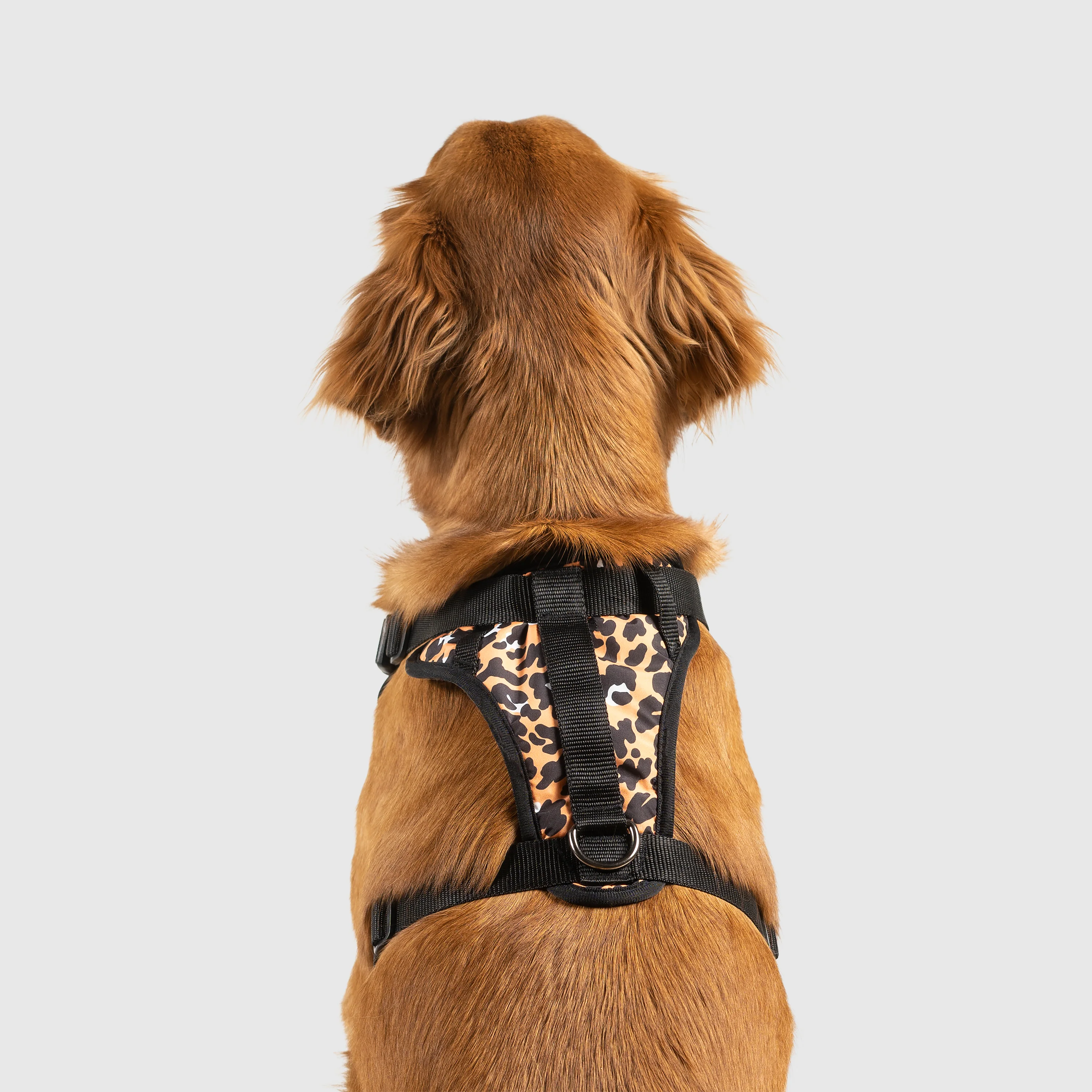The Everything Harness Water-Resistant Series - Image 16