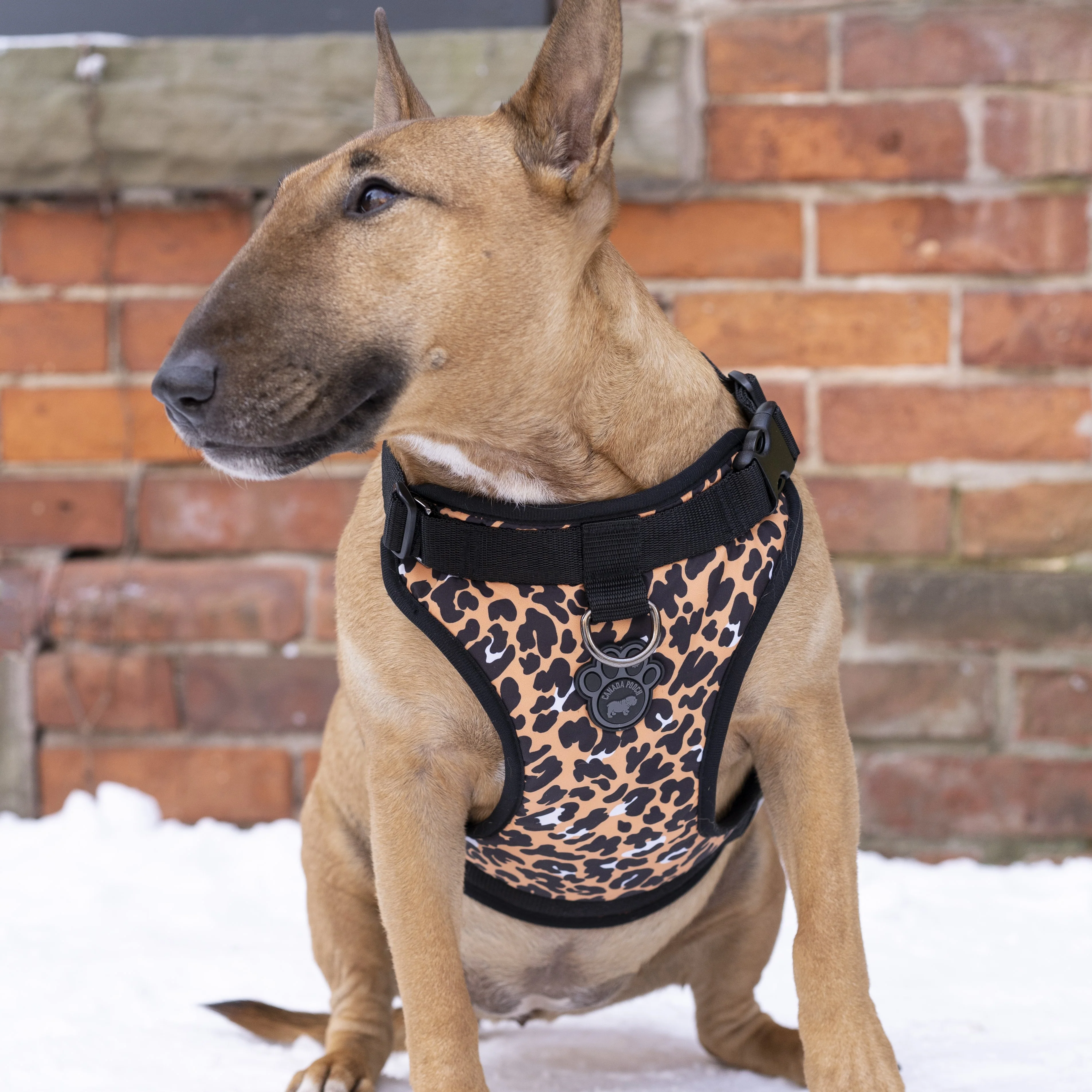 The Everything Harness Water-Resistant Series - Image 18