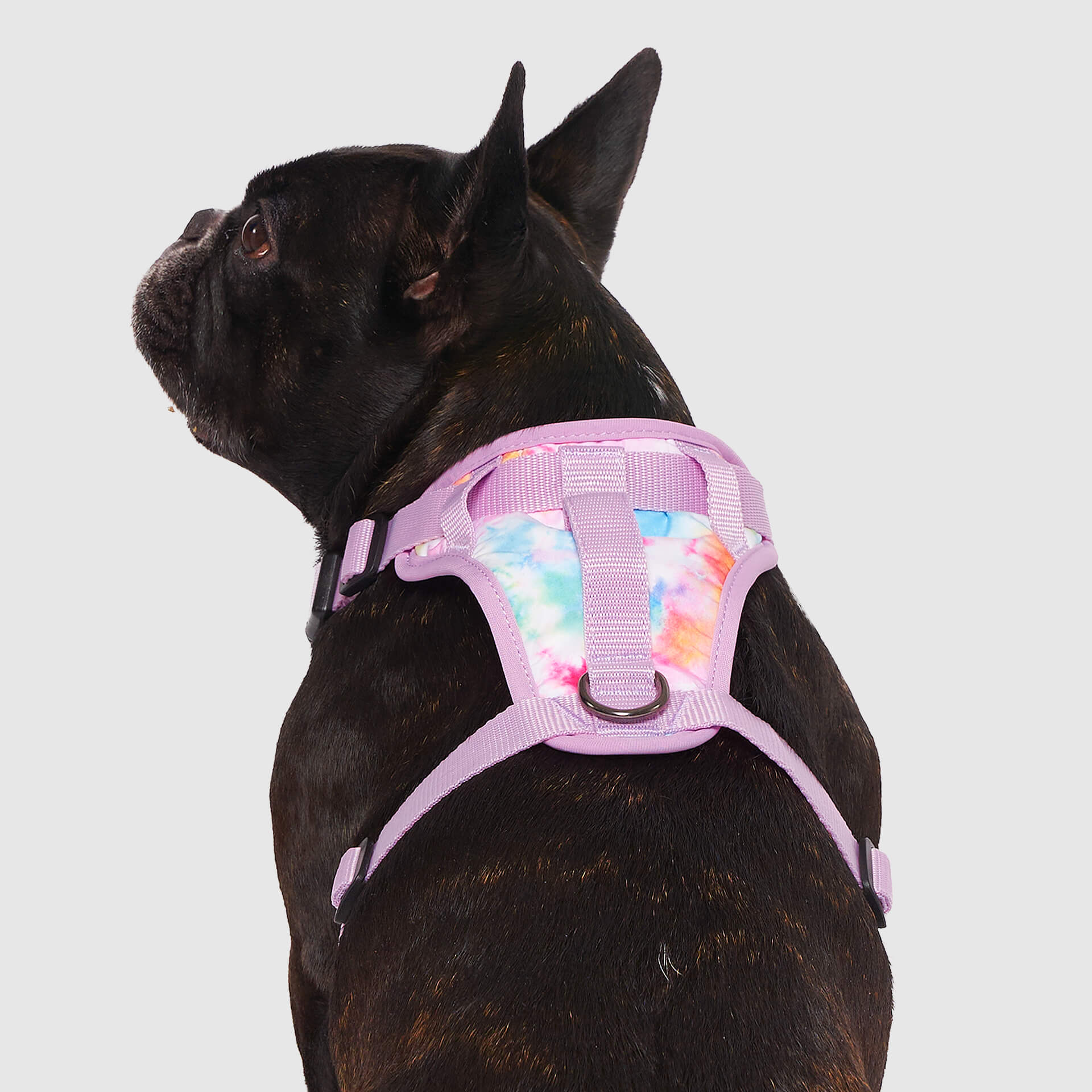 The Everything Harness Water-Resistant Series - Image 3