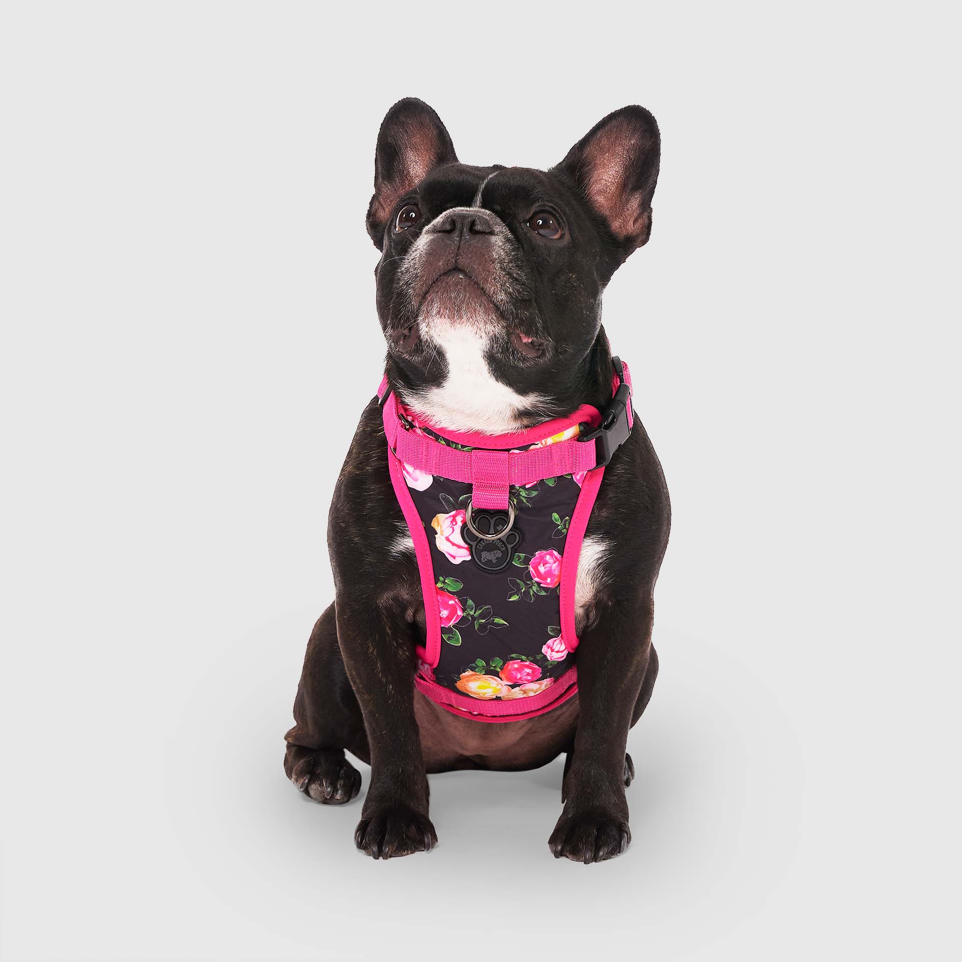 The Everything Harness Water-Resistant Series - Image 6