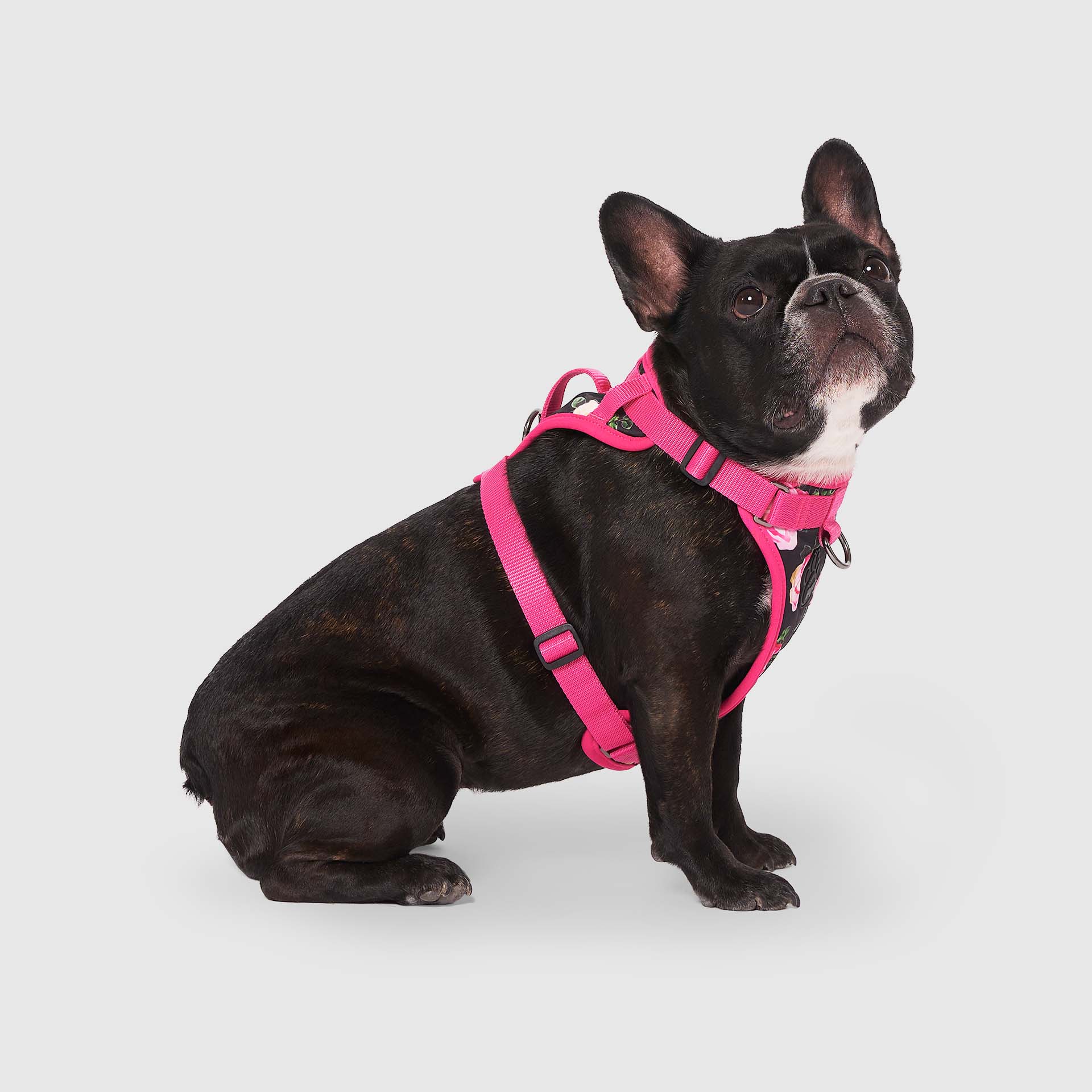 The Everything Harness Water-Resistant Series - Image 7