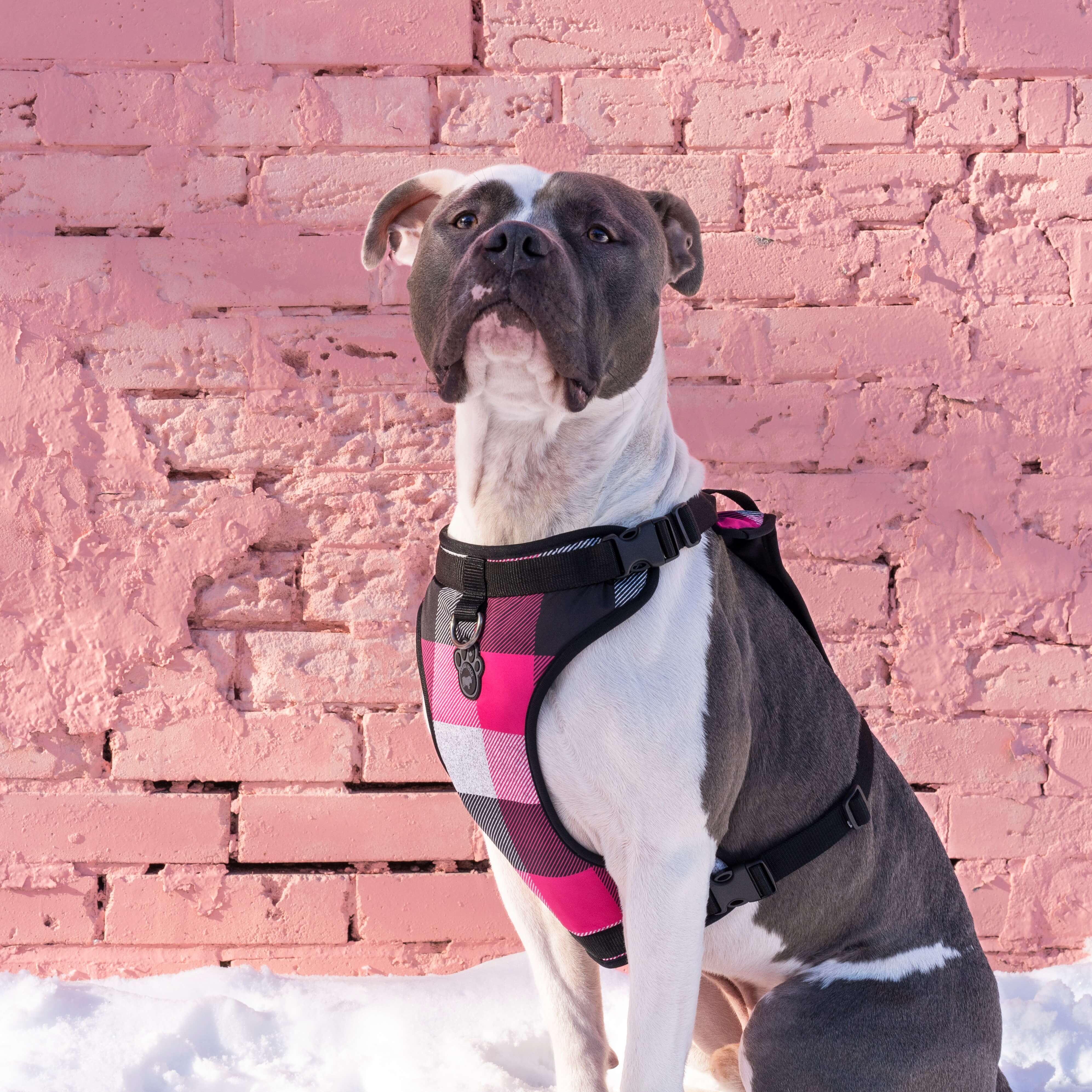 The Everything Harness Water-Resistant Series - Image 10