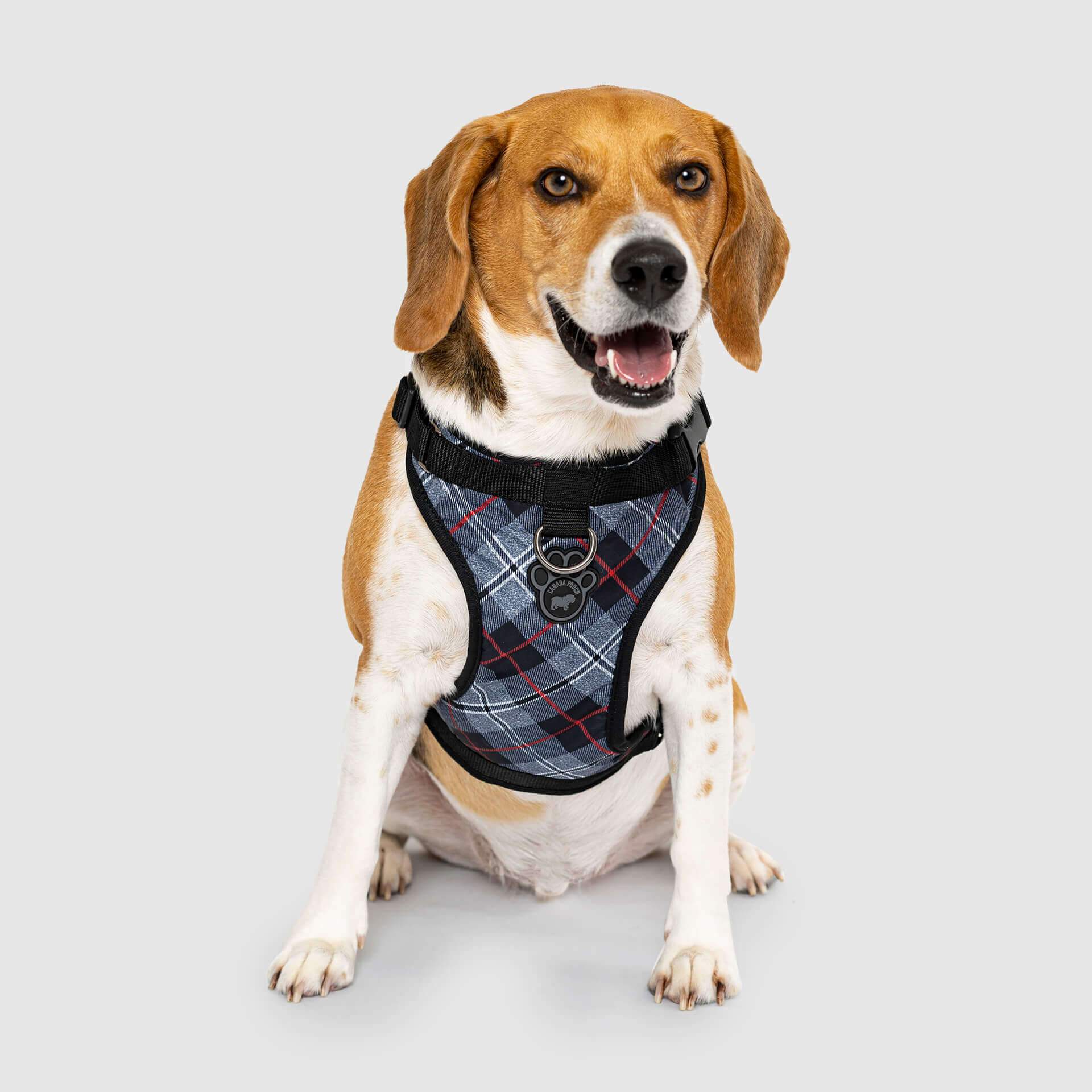 The Everything Harness Water-Resistant Series - Image 11