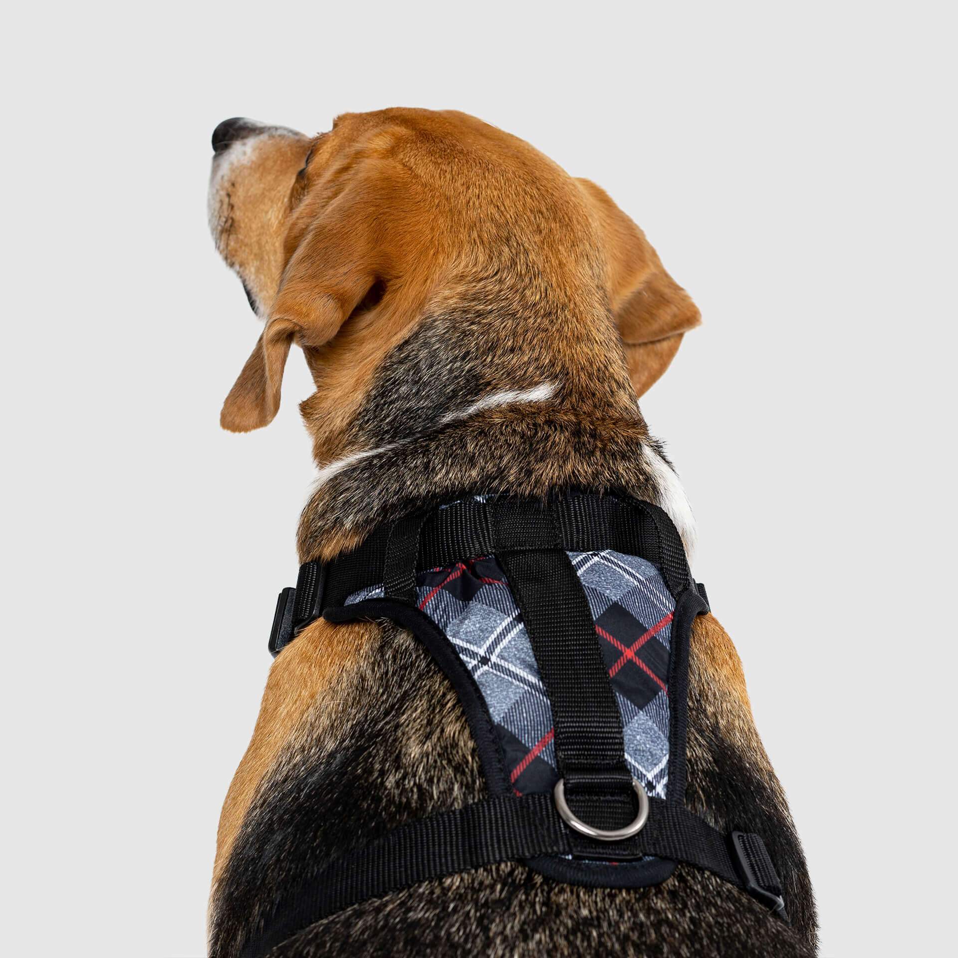The Everything Harness Water-Resistant Series - Image 13