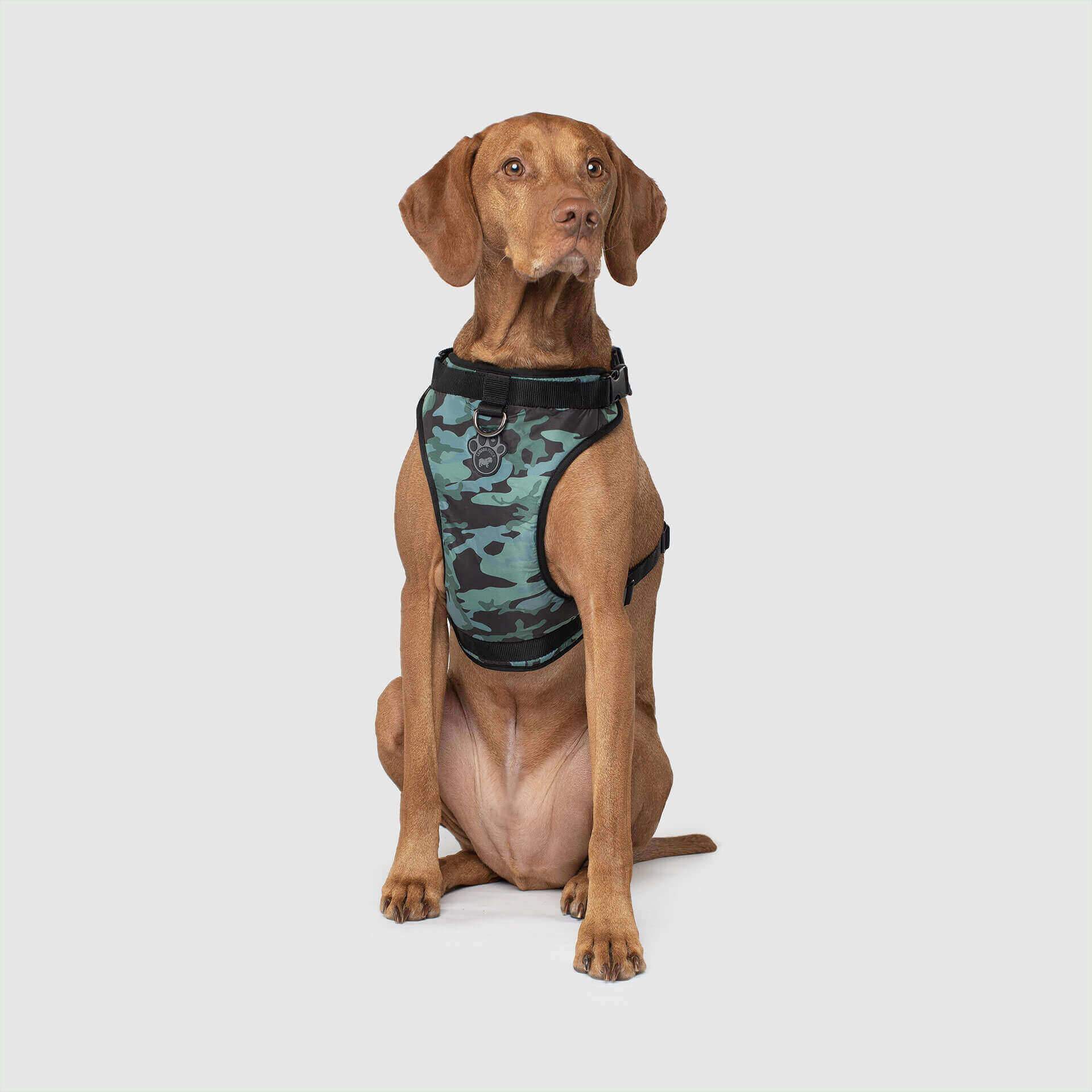 The Everything Harness Water-Resistant Series - Image 15