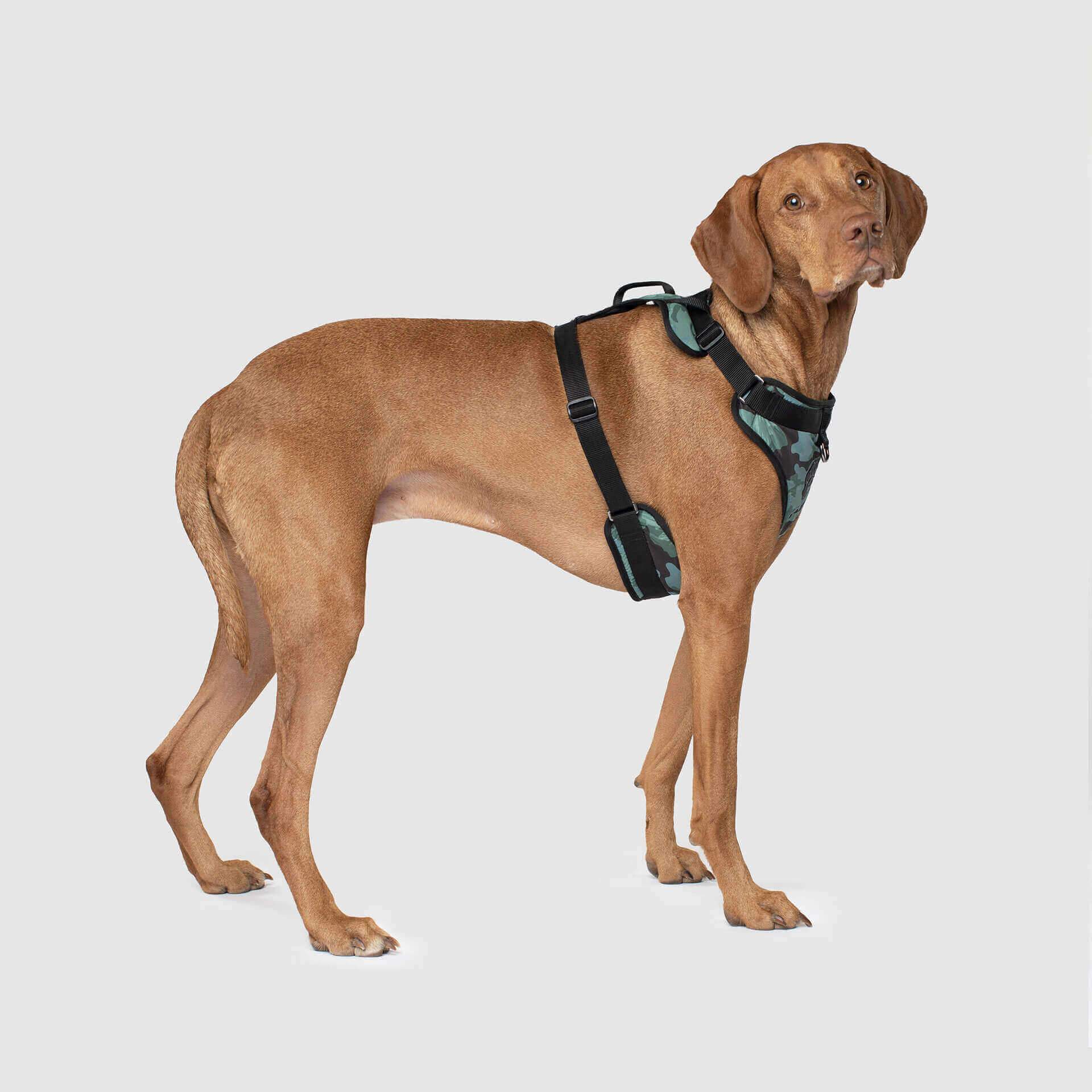 The Everything Harness Water-Resistant Series - Image 16