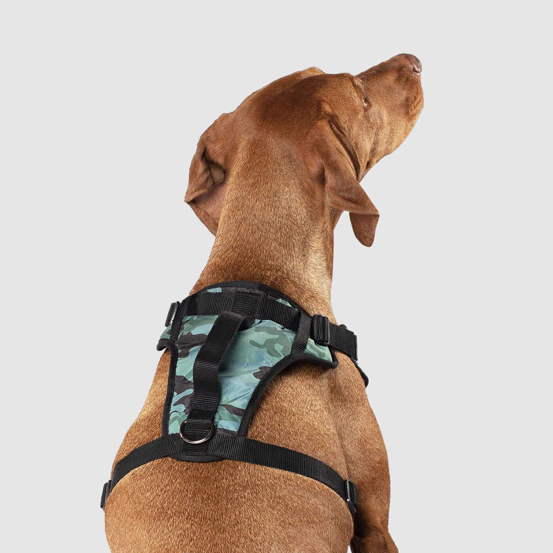 The Everything Harness Water-Resistant Series - Image 17