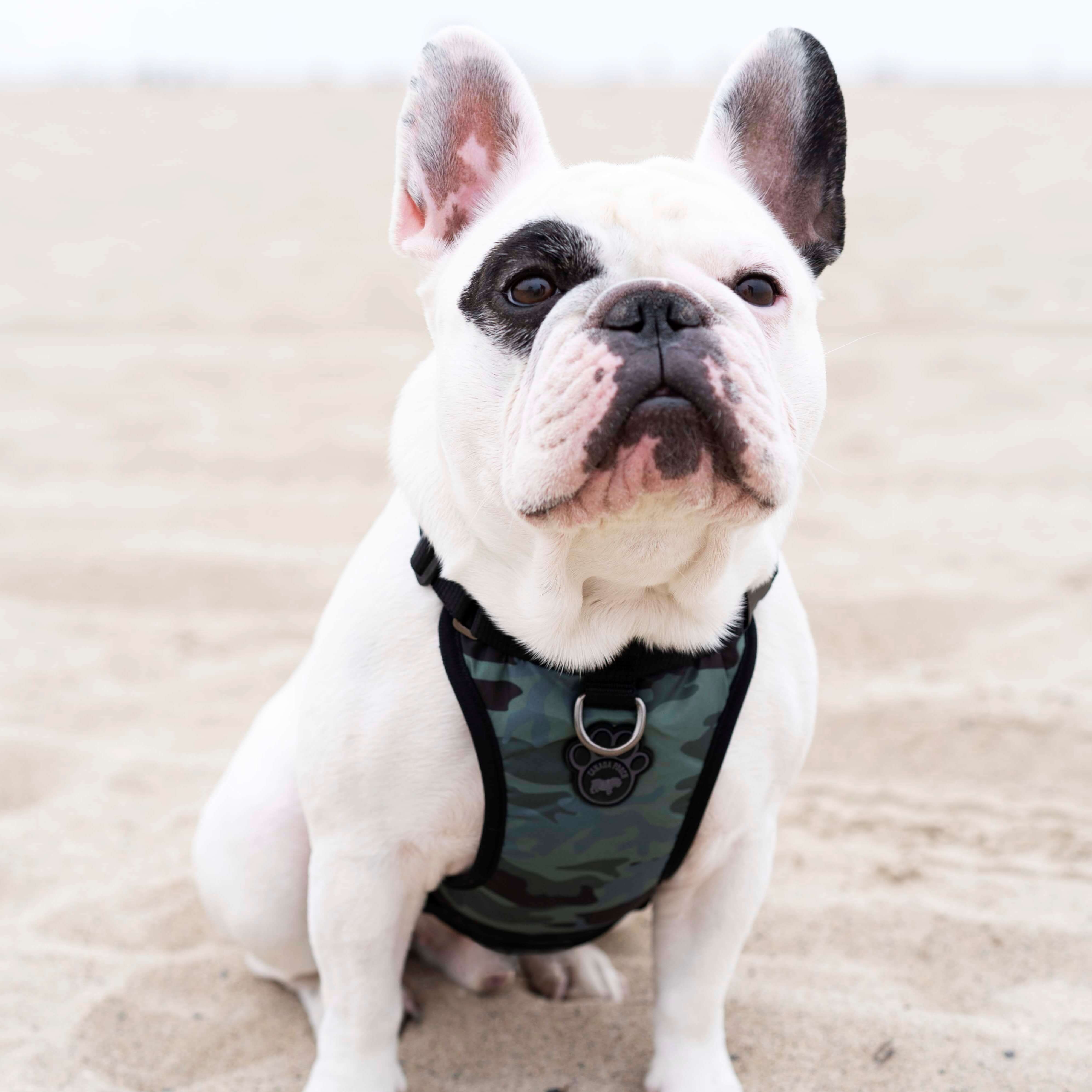 The Everything Harness Water-Resistant Series - Image 19