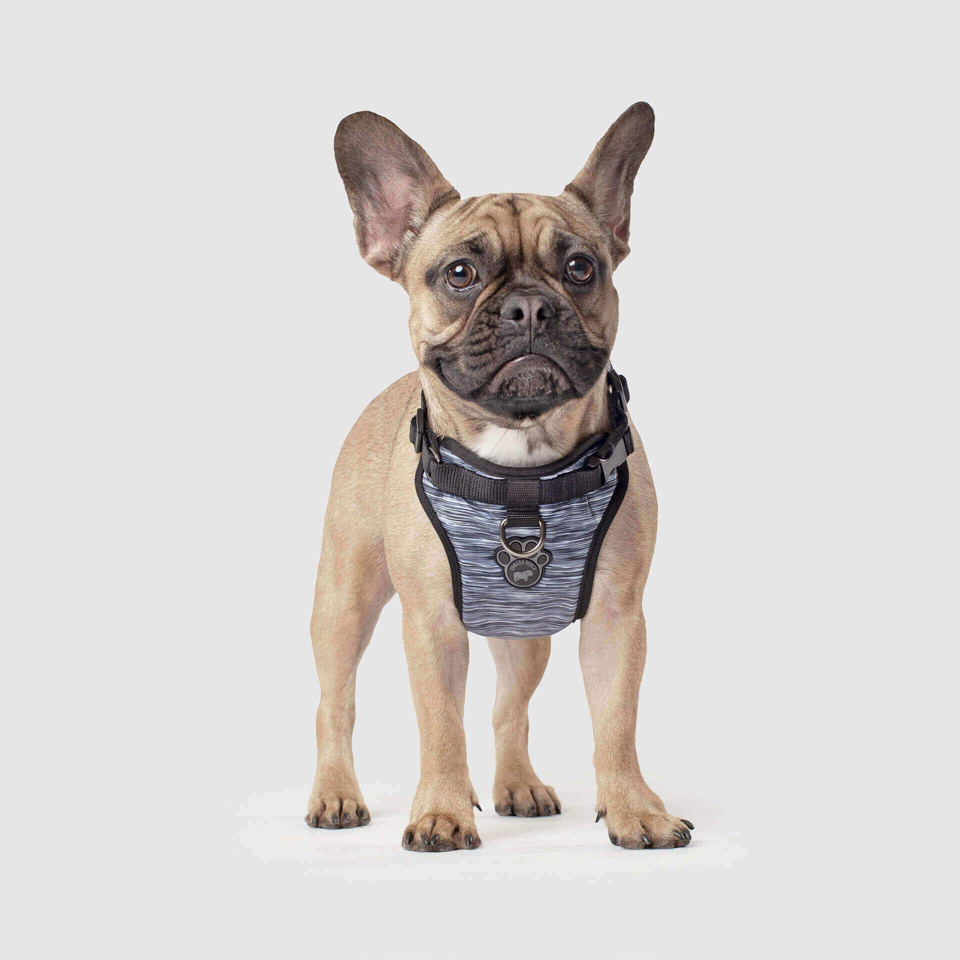 The Everything Harness Water-Resistant Series - Image 20